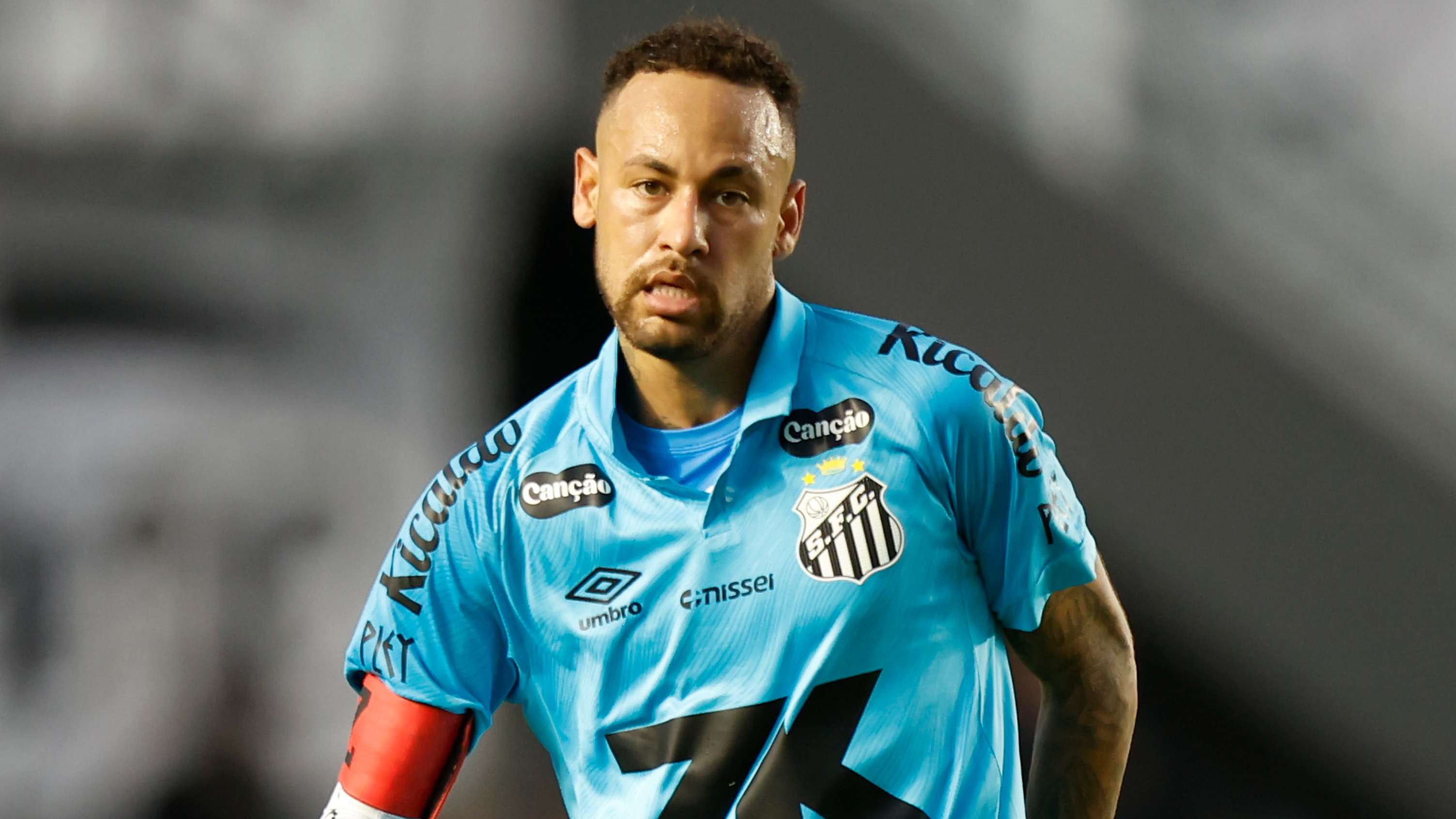 Santos v Botafogo - Brasileirao 2025