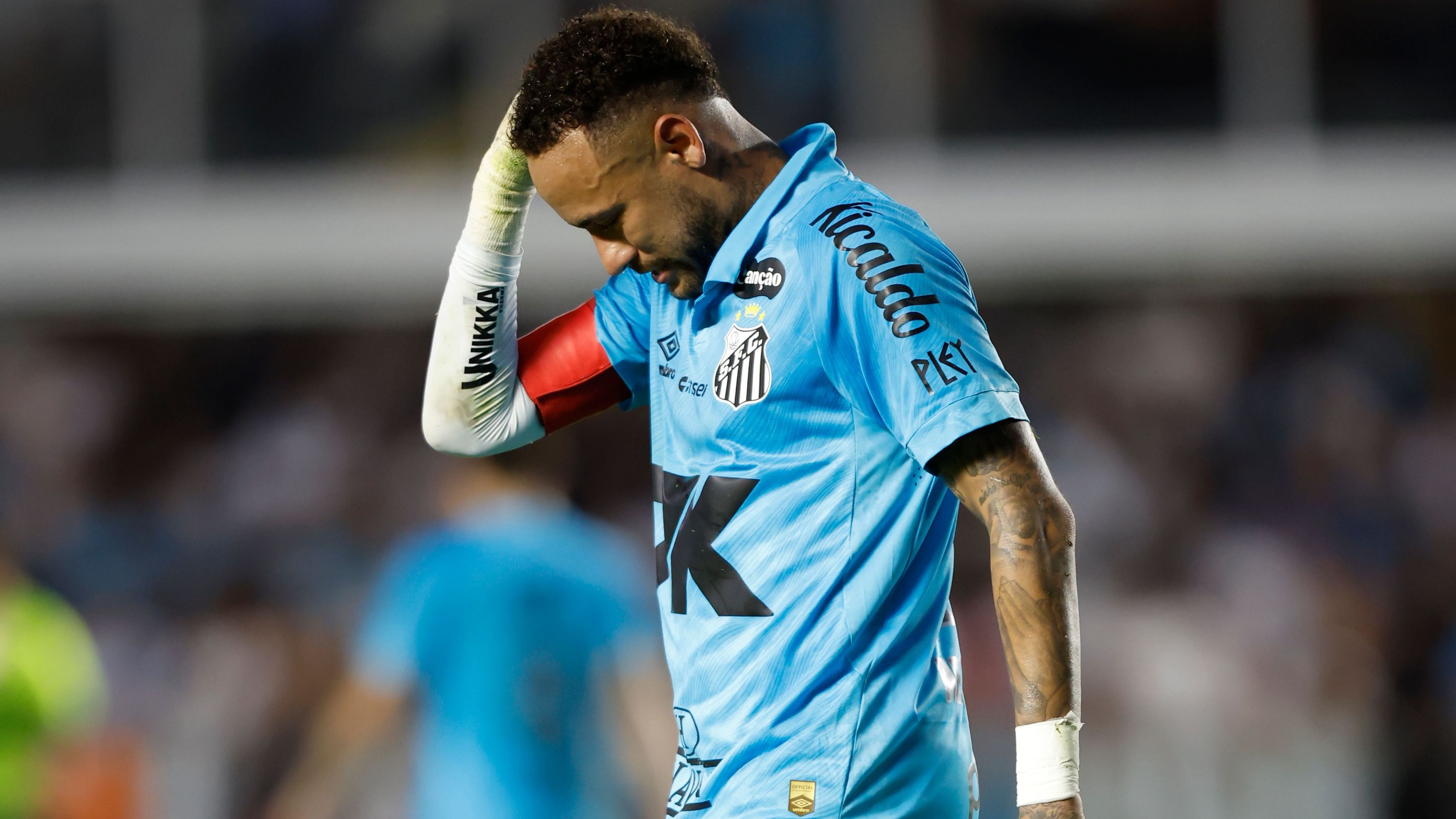 Santos v Botafogo - Brasileirao 2025