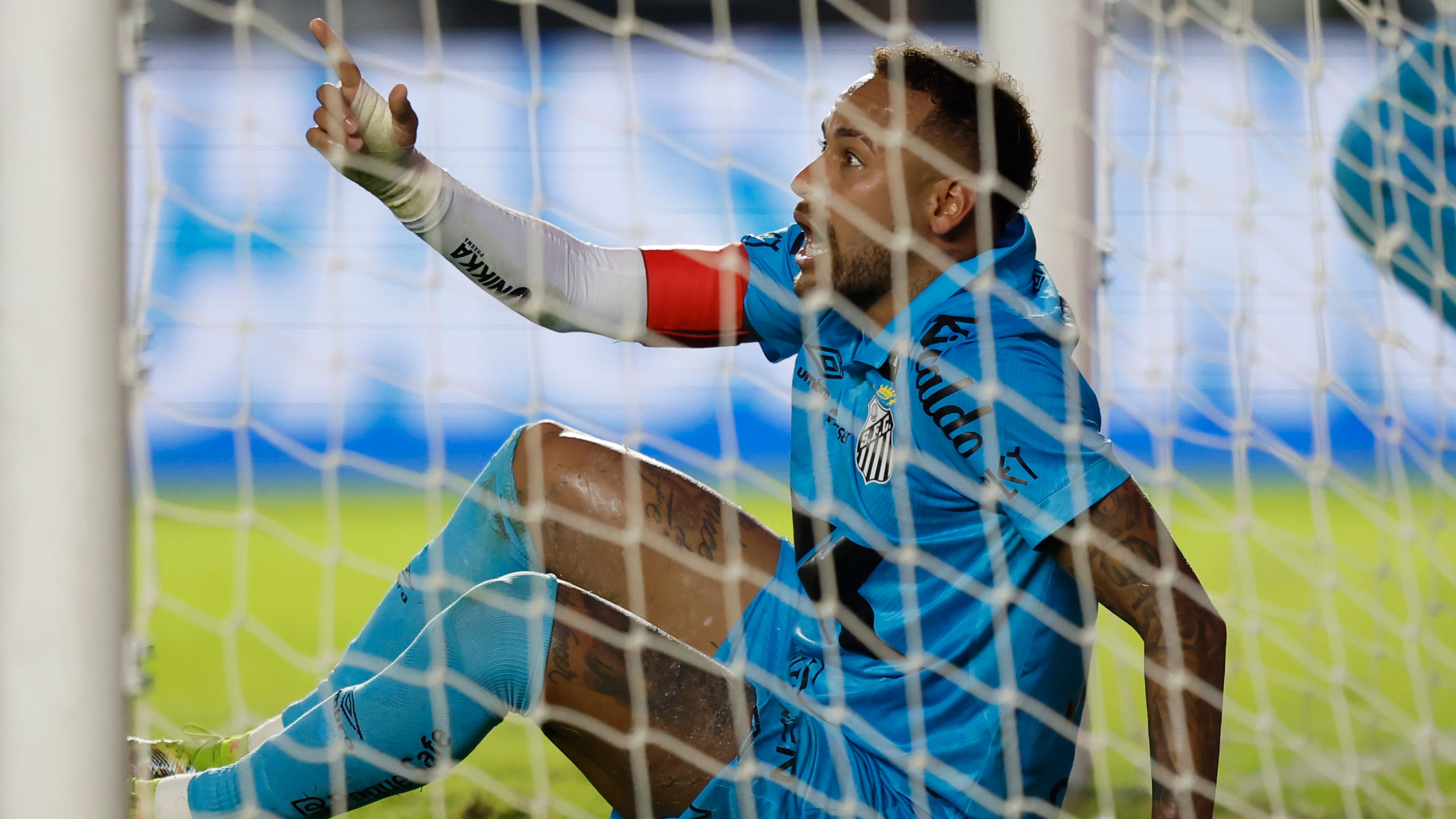 Santos v Botafogo - Brasileirao 2025