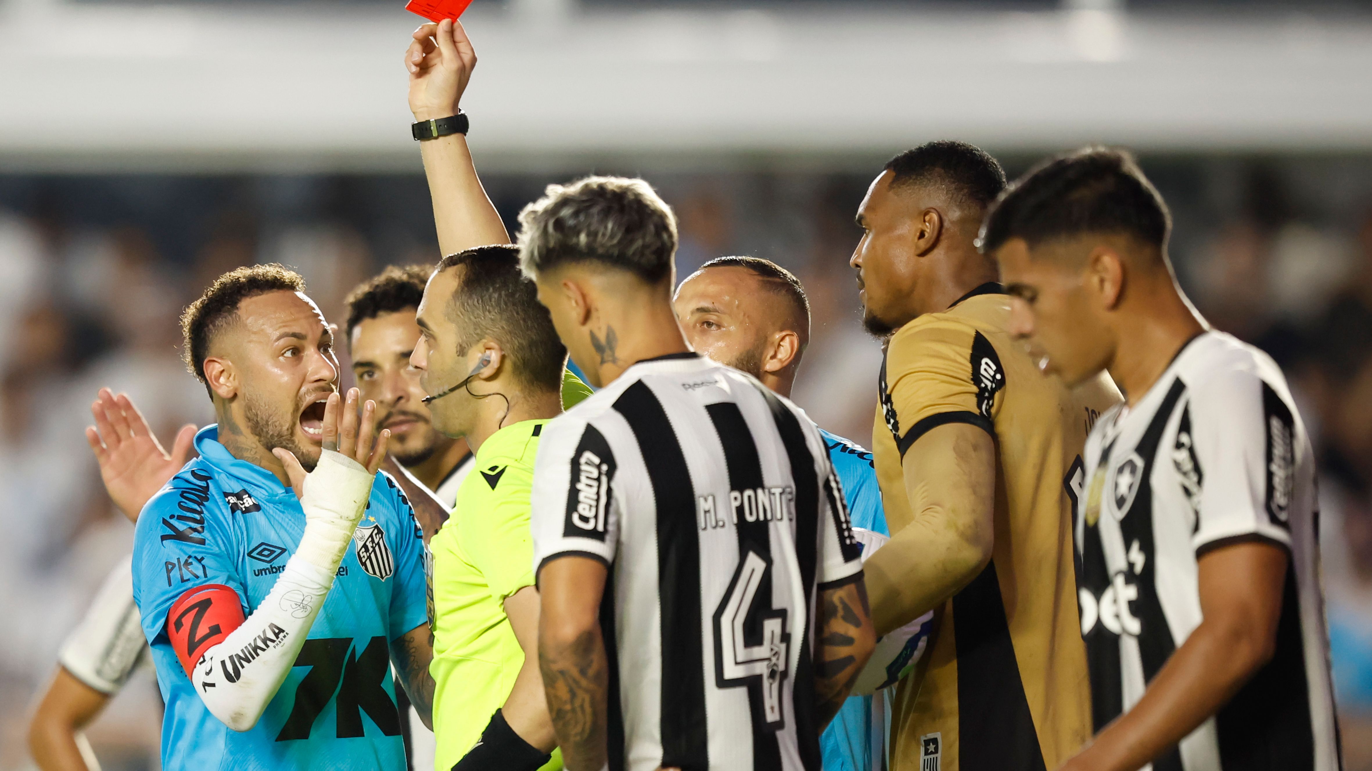 Santos v Botafogo - Brasileirao 2025