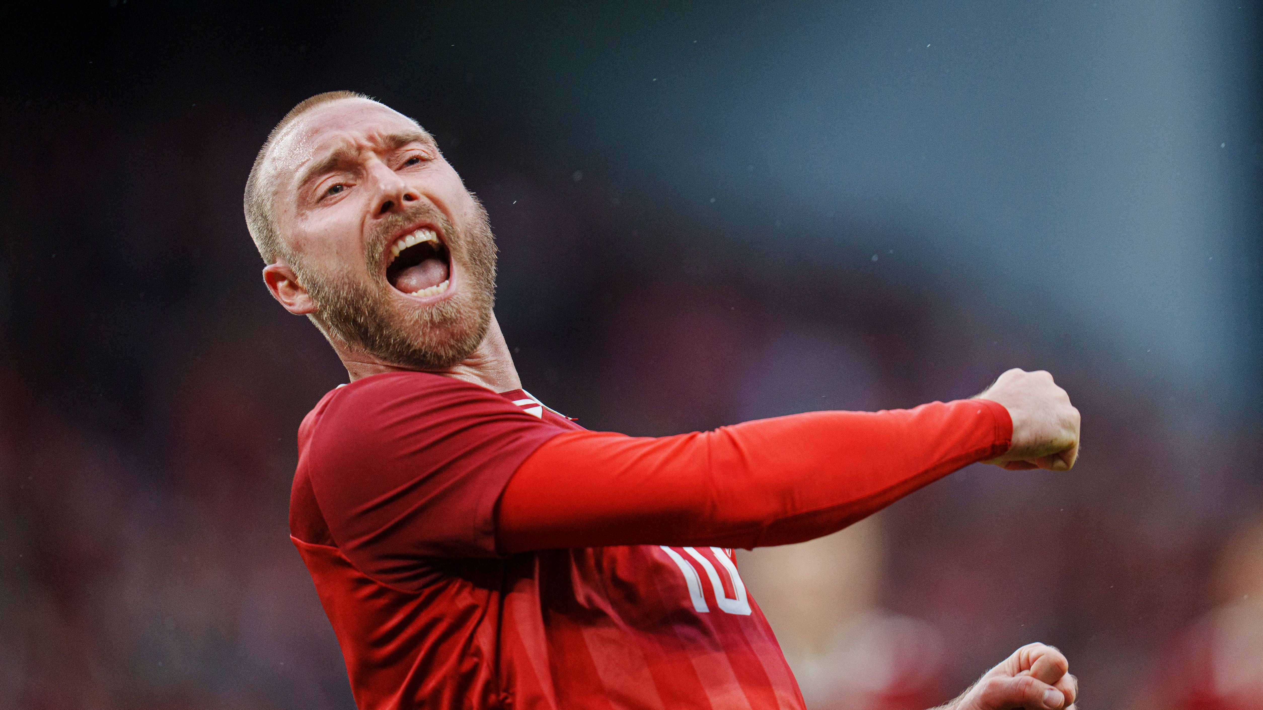 FBL-FRIENDLY-DEN-NIR