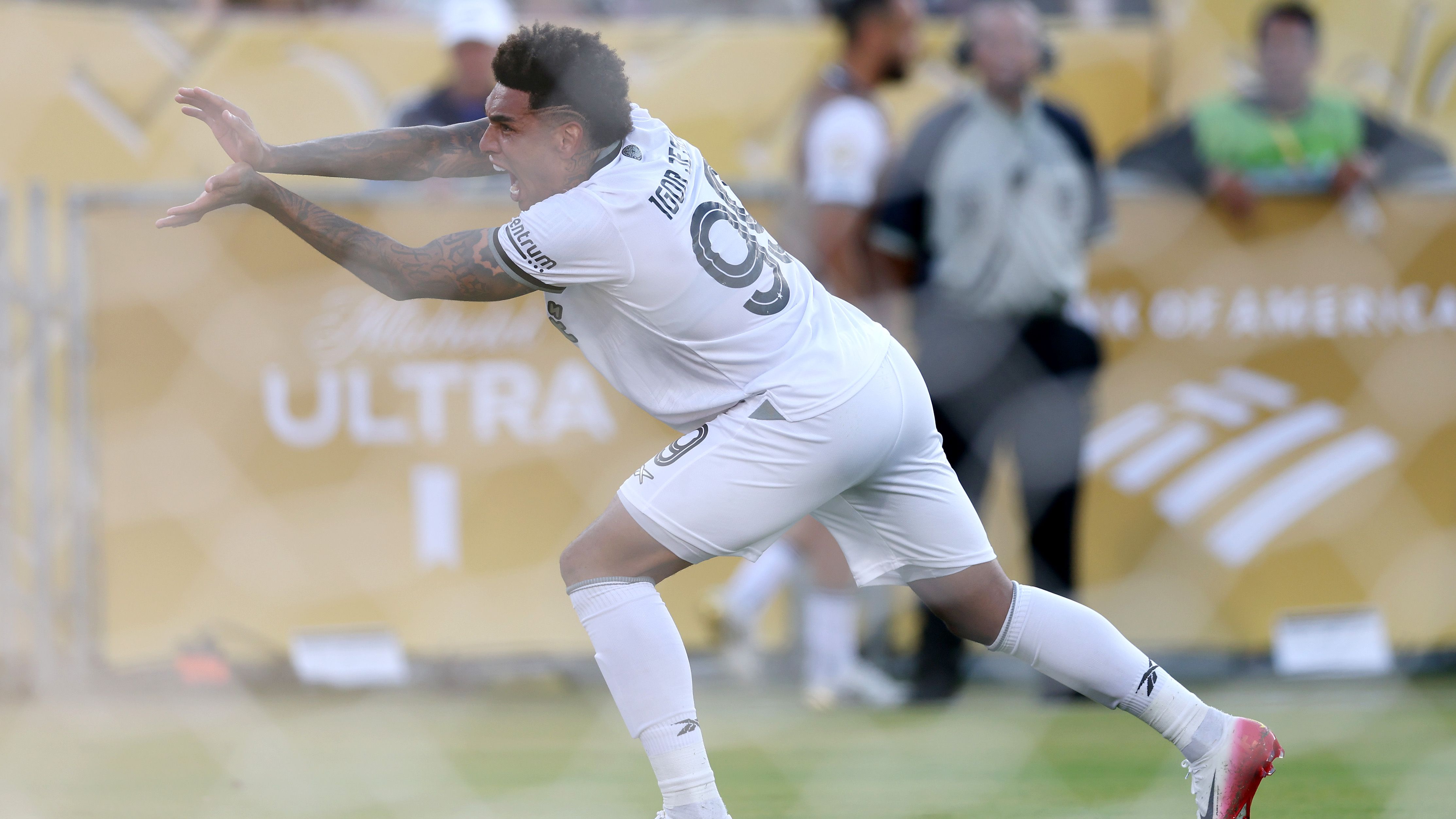 Paris Saint-Germain FC v Botafogo FR: Group B - FIFA Club World Cup 2025