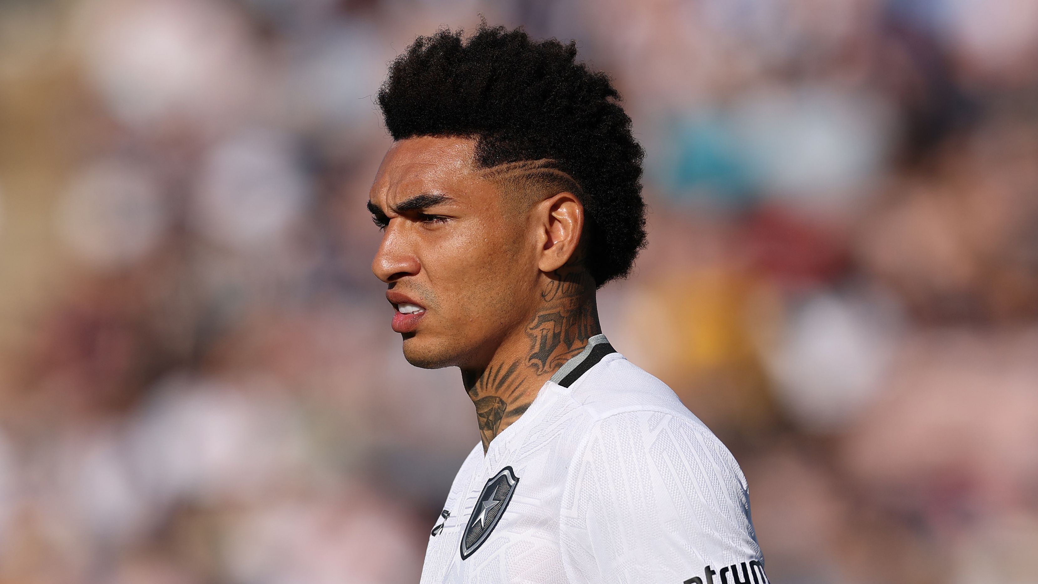 Paris Saint-Germain FC v Botafogo FR: Group B - FIFA Club World Cup 2025