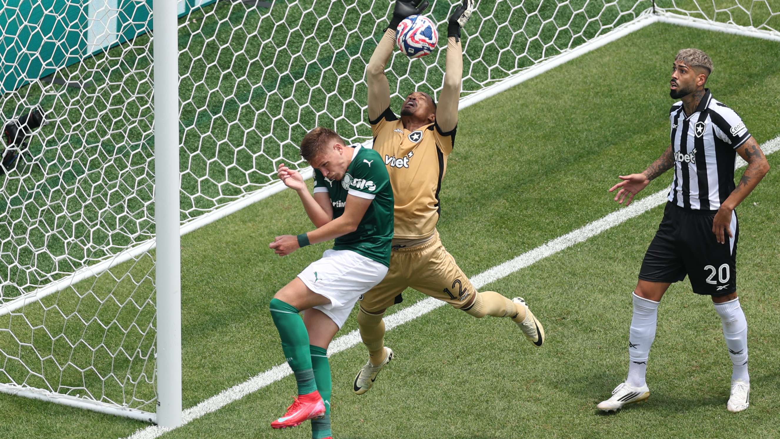 FBL-WC-CLUB-2025-MATCH49-PALMERIAS-BOTAFOGO