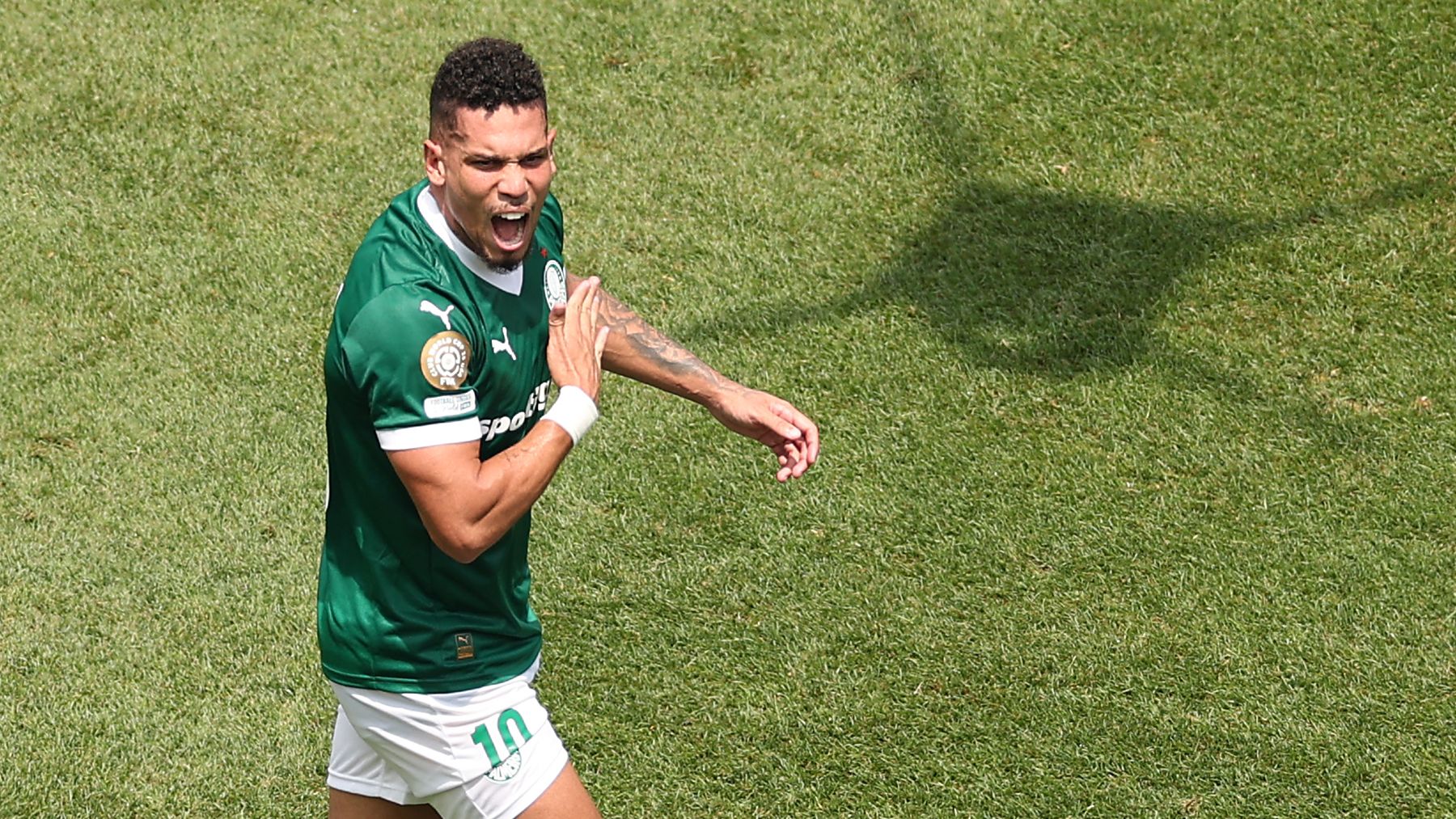 FBL-WC-CLUB-2025-MATCH49-PALMERIAS-BOTAFOGO