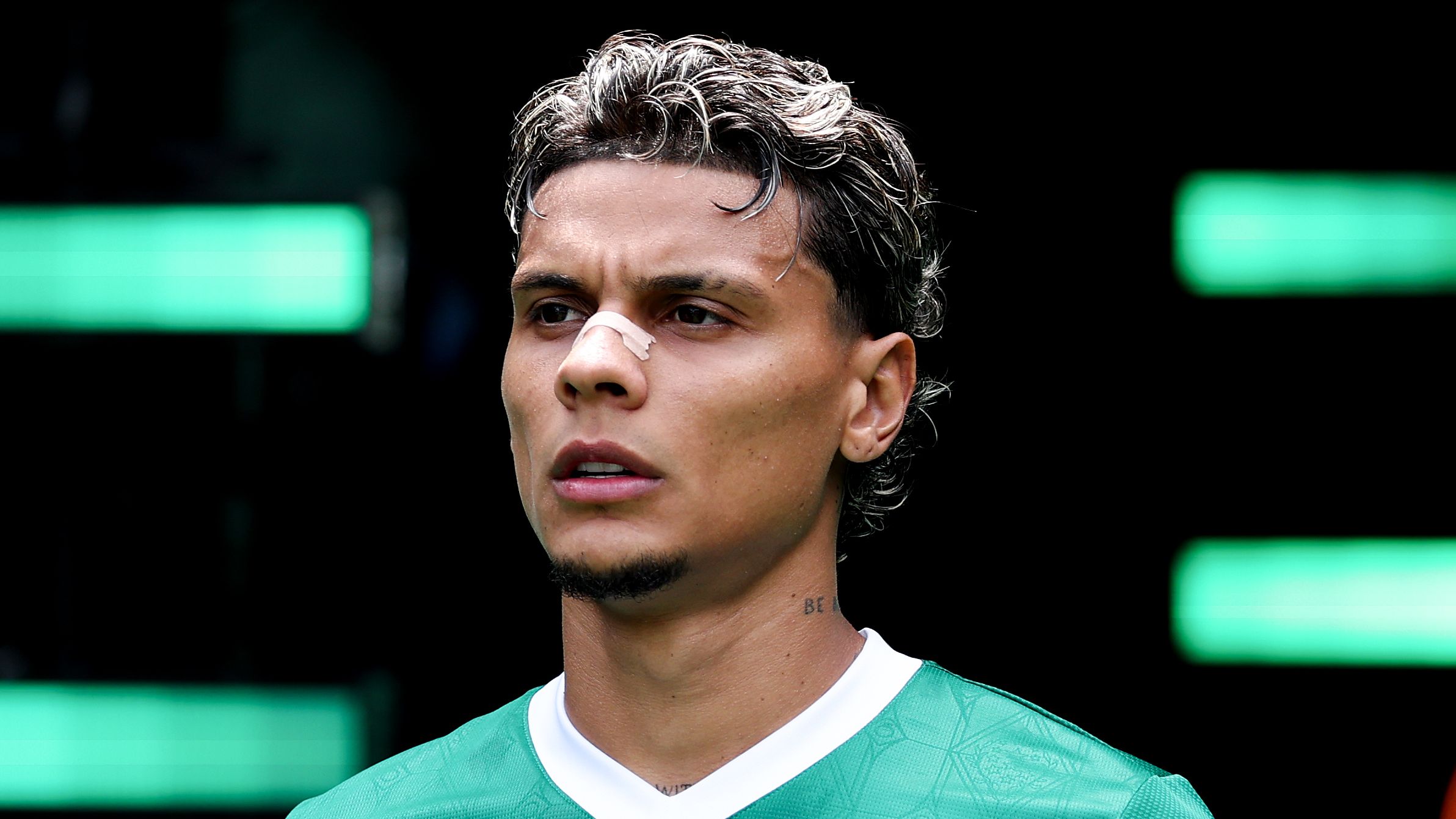 SE Palmeiras  v Botafogo FR: Round Of 16 - FIFA Club World Cup 2025