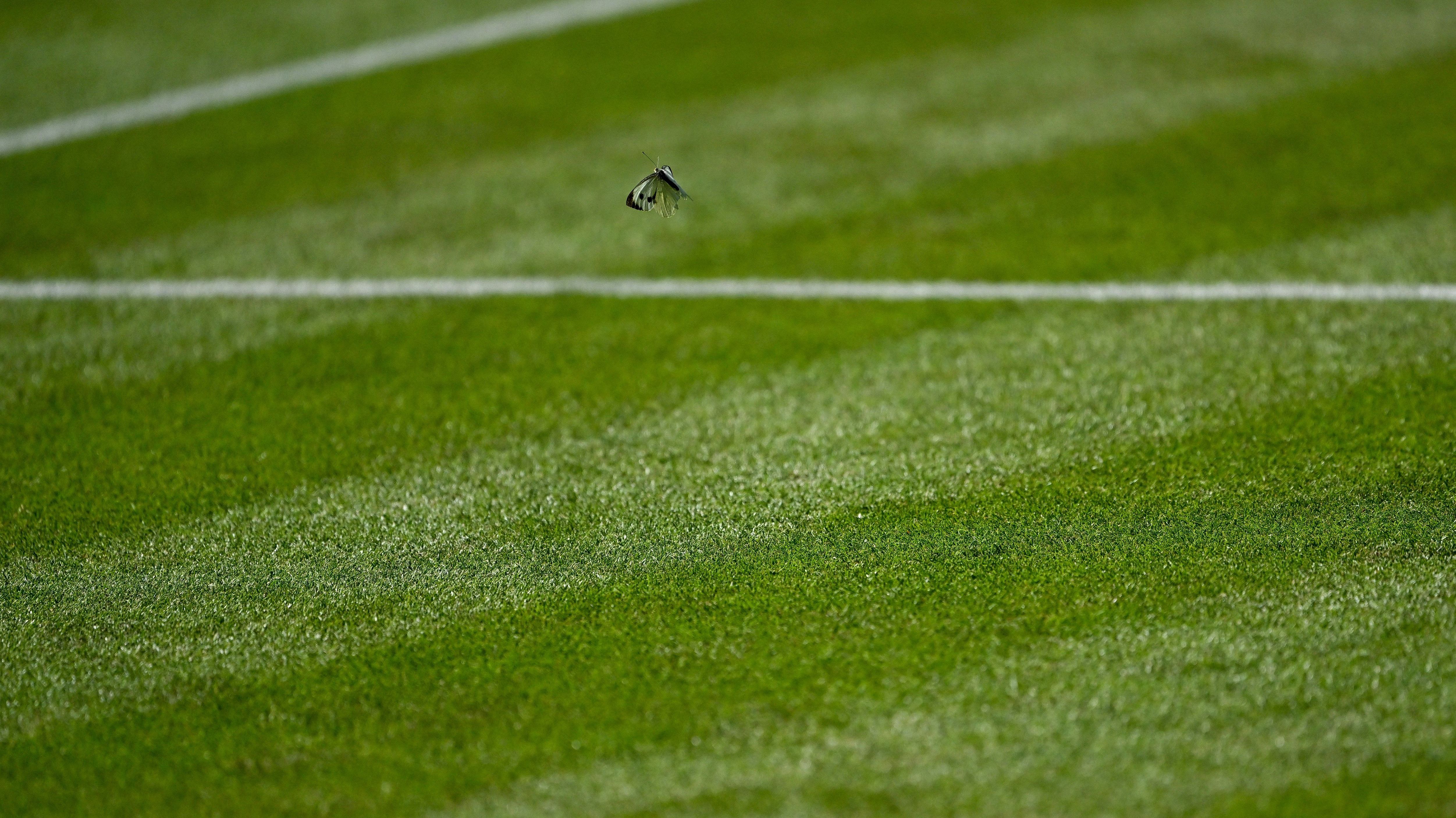 TENNIS-GBR-WIMBLEDON