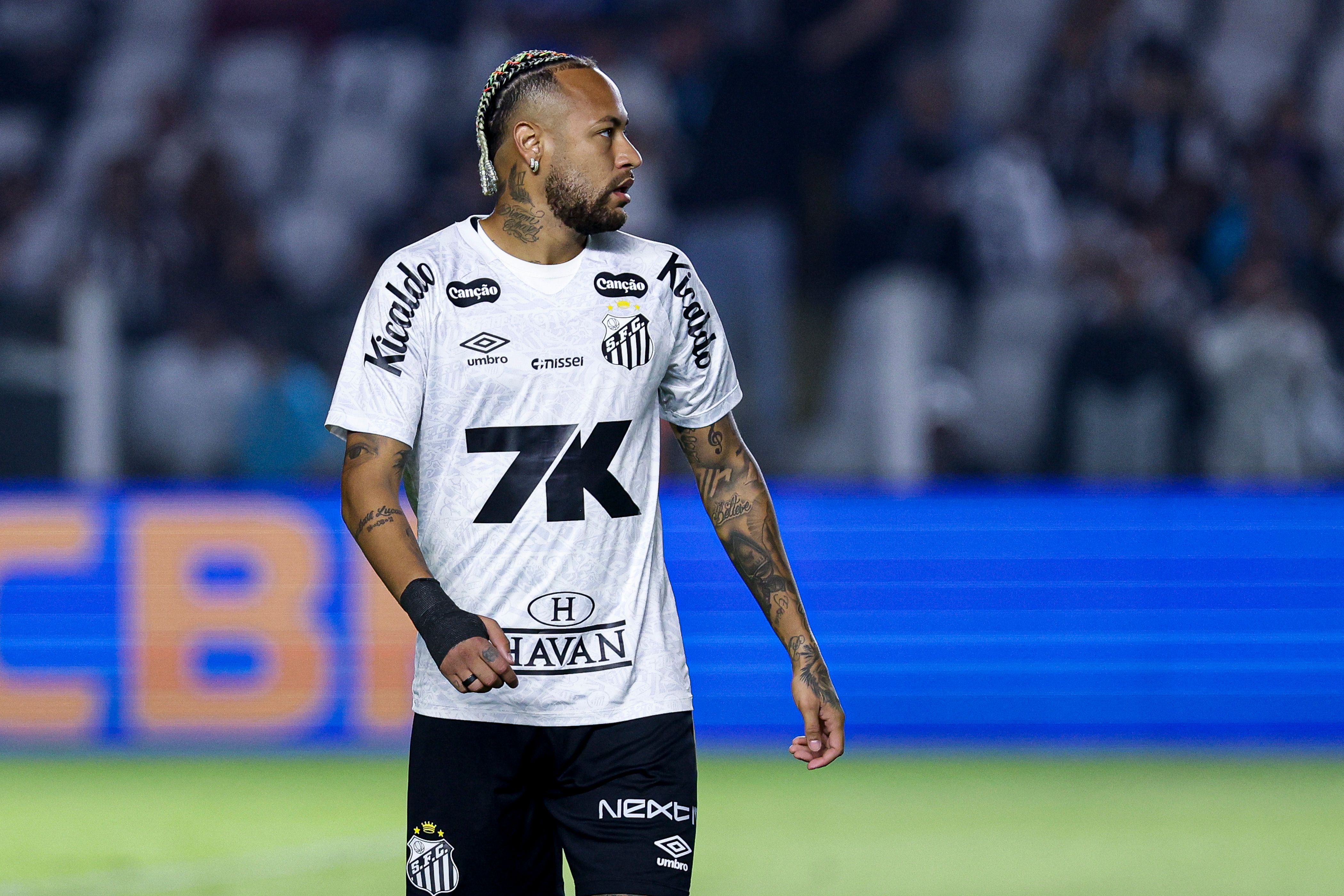 Santos v Flamengo - Brasileirao 2025