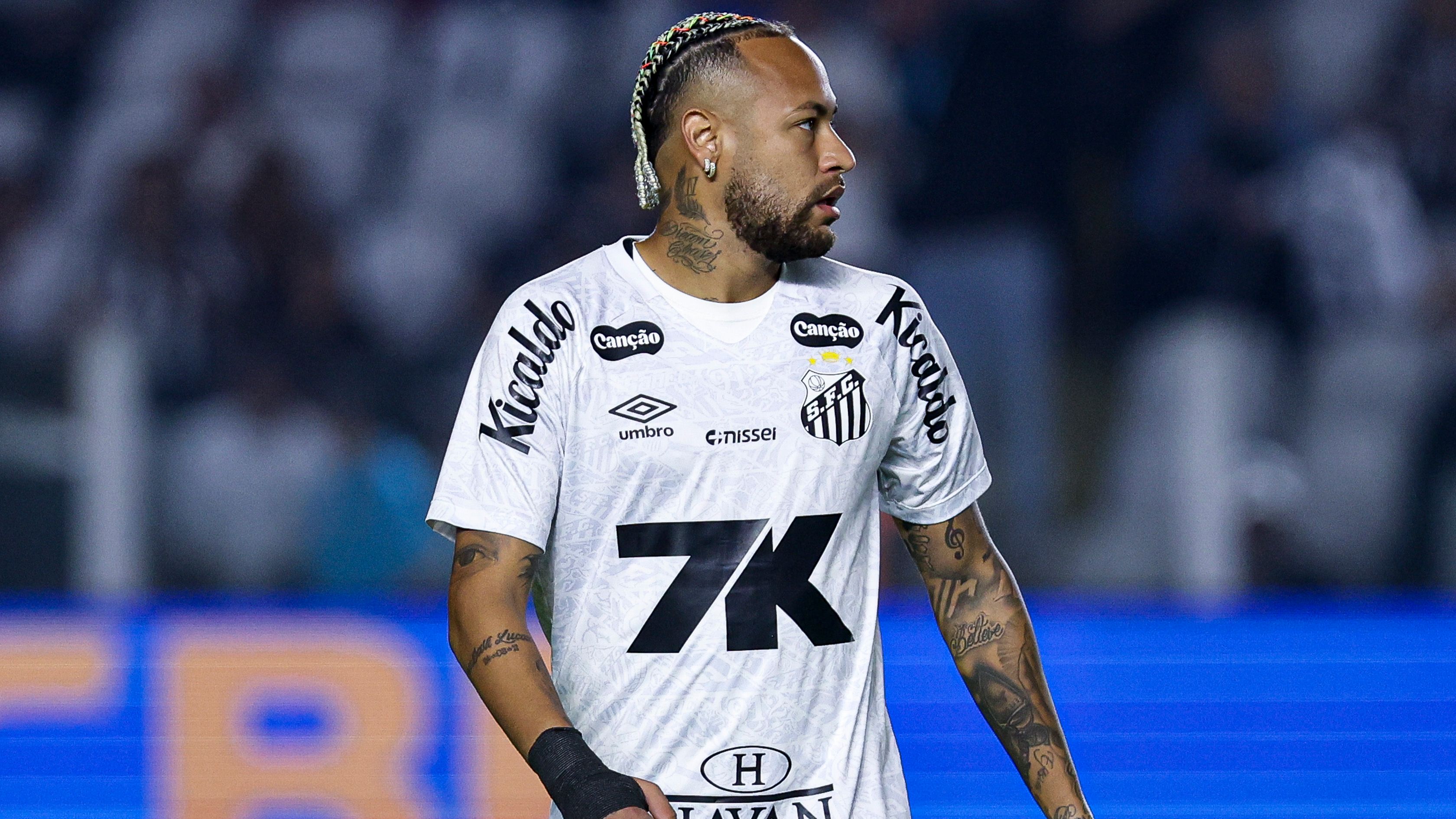 Santos v Flamengo - Brasileirao 2025