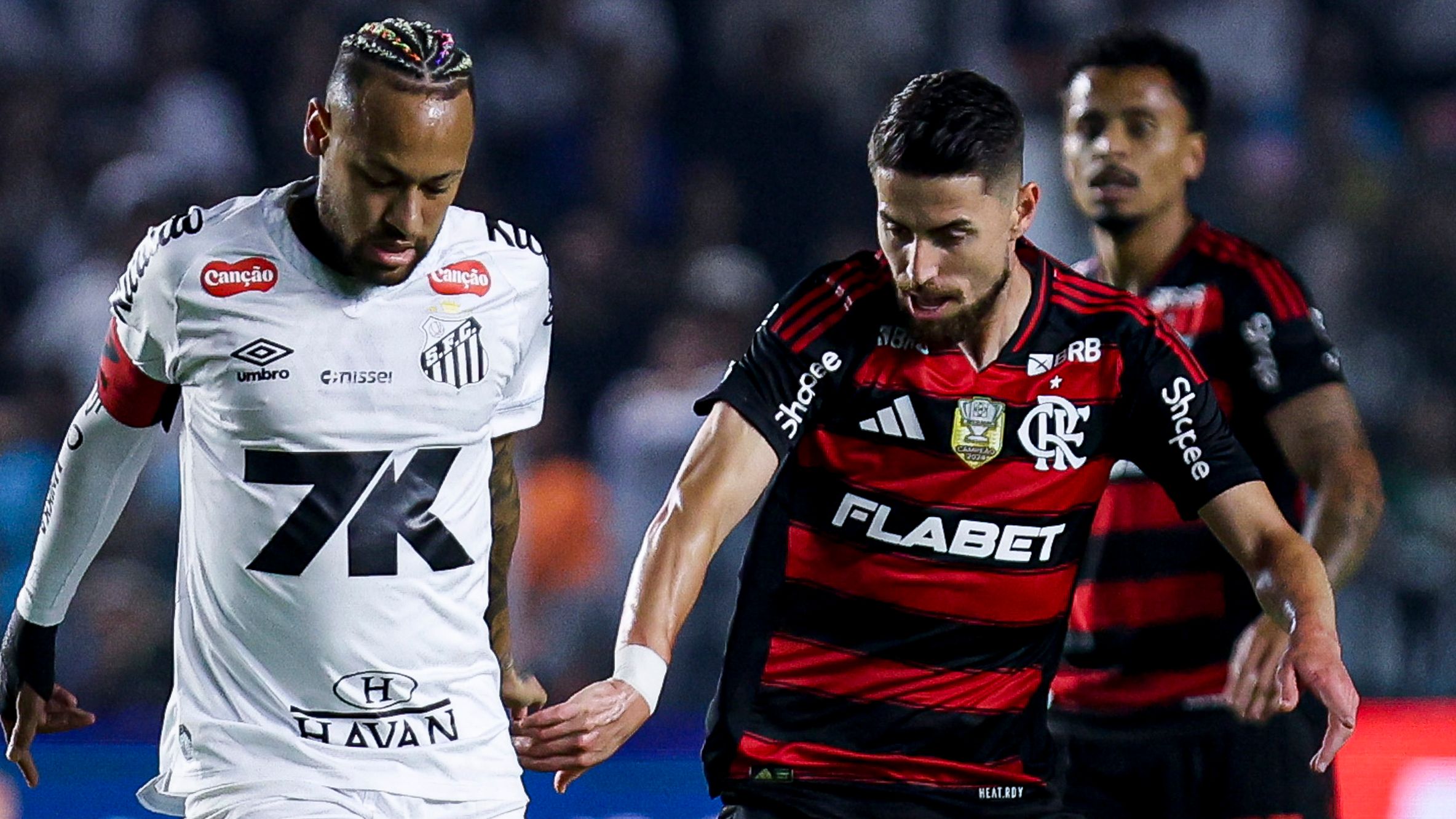 Santos v Flamengo - Brasileirao 2025