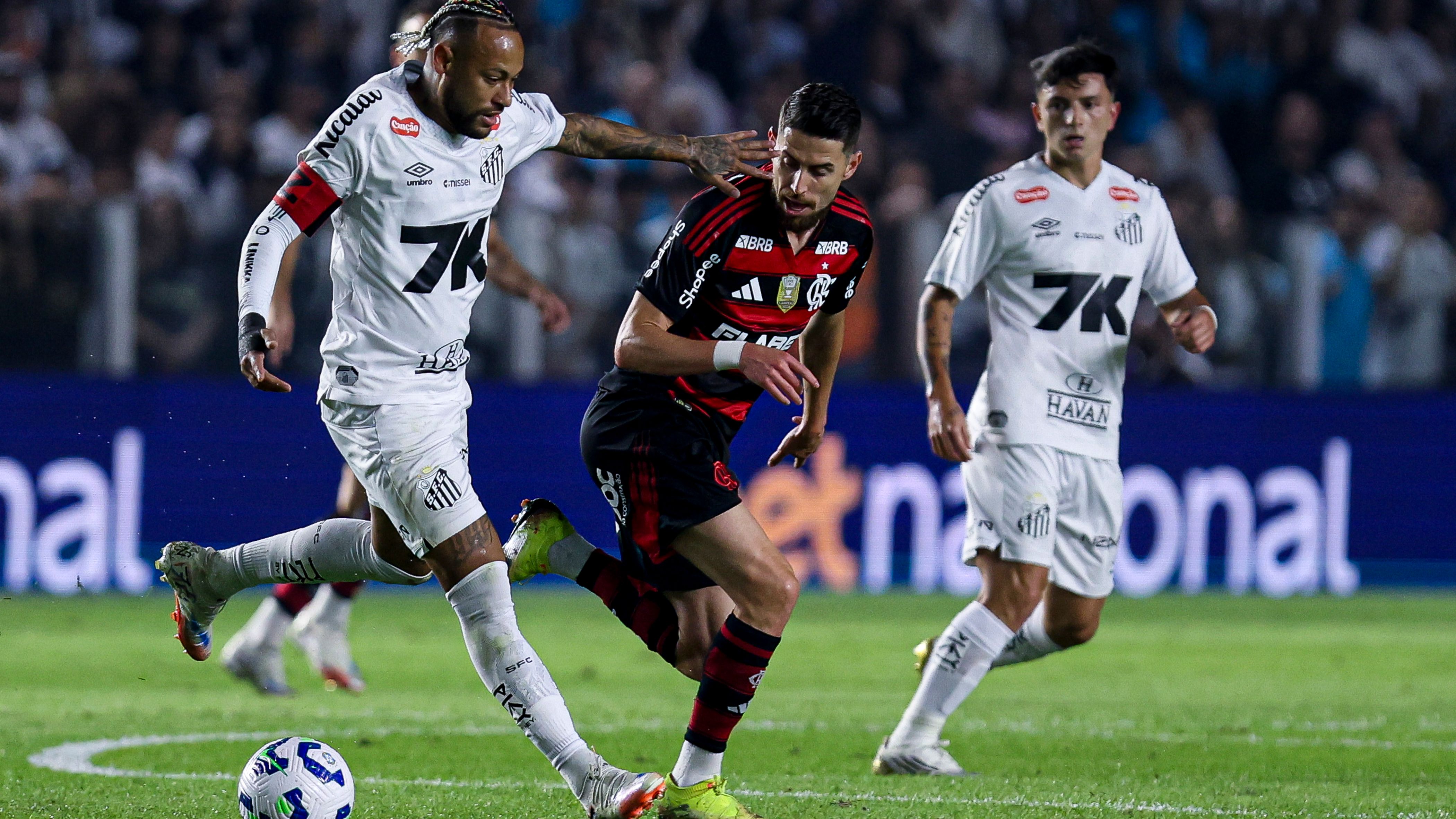 Santos v Flamengo - Brasileirao 2025