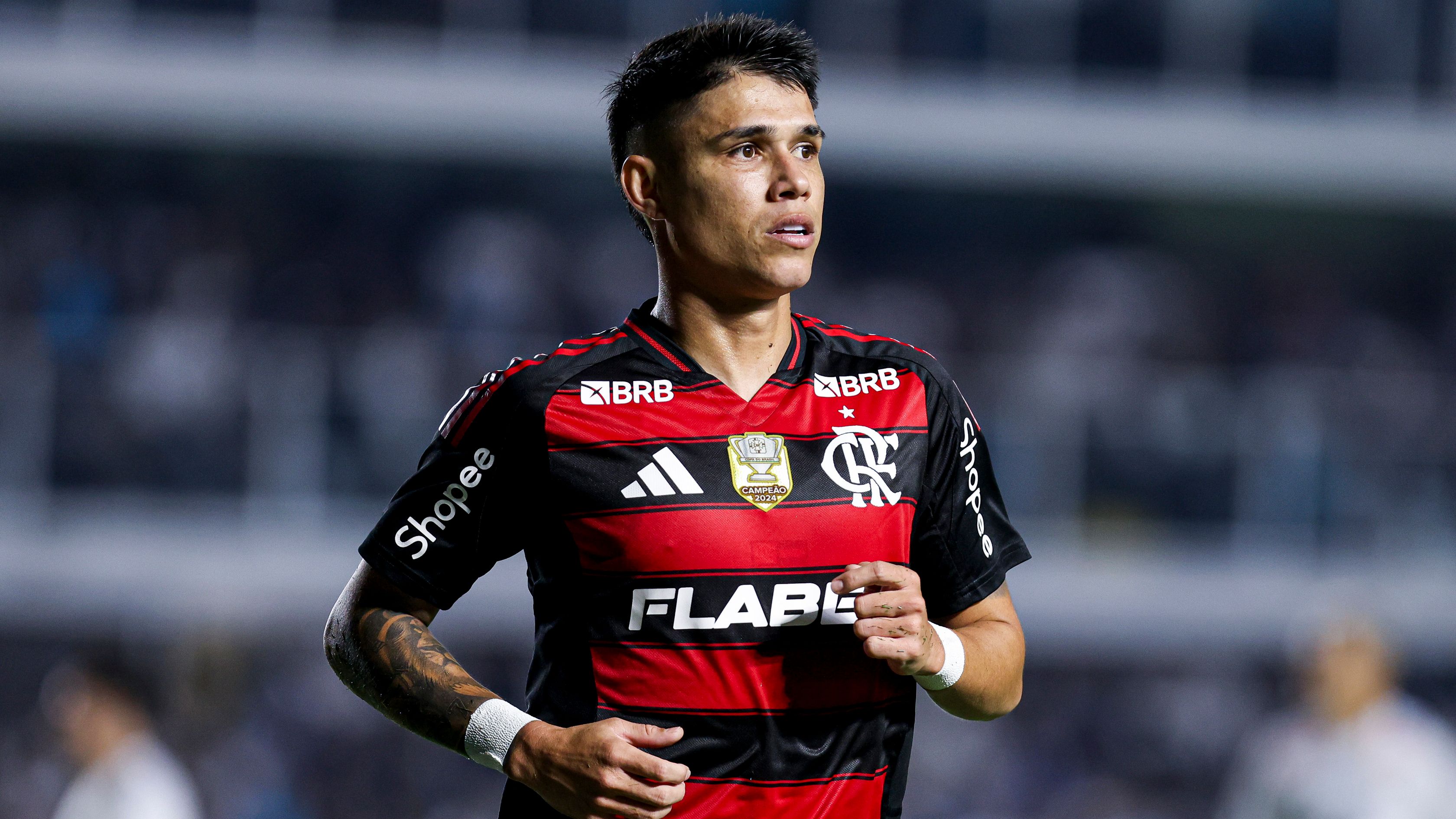 Santos v Flamengo - Brasileirao 2025