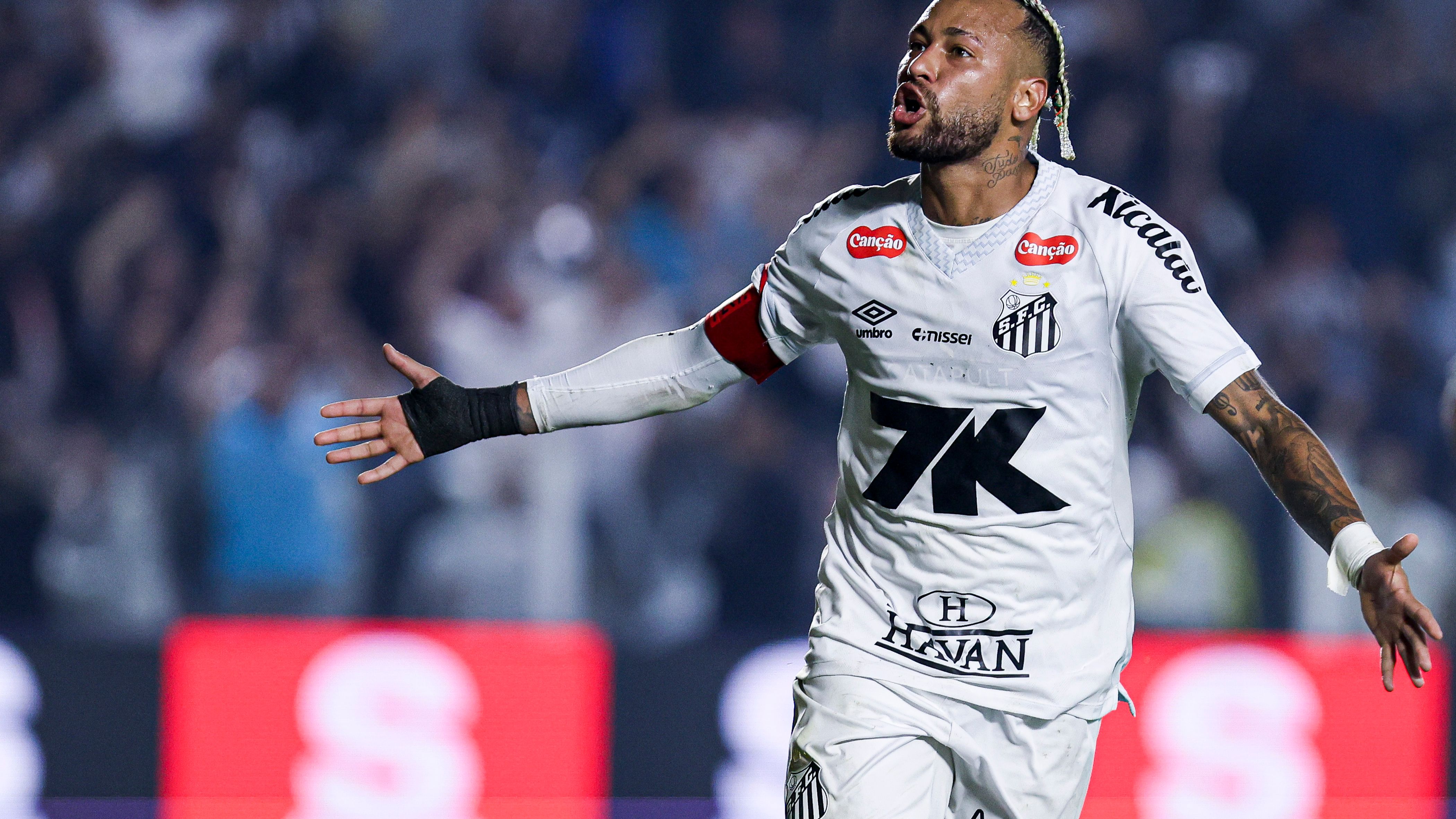 Santos v Flamengo - Brasileirao 2025