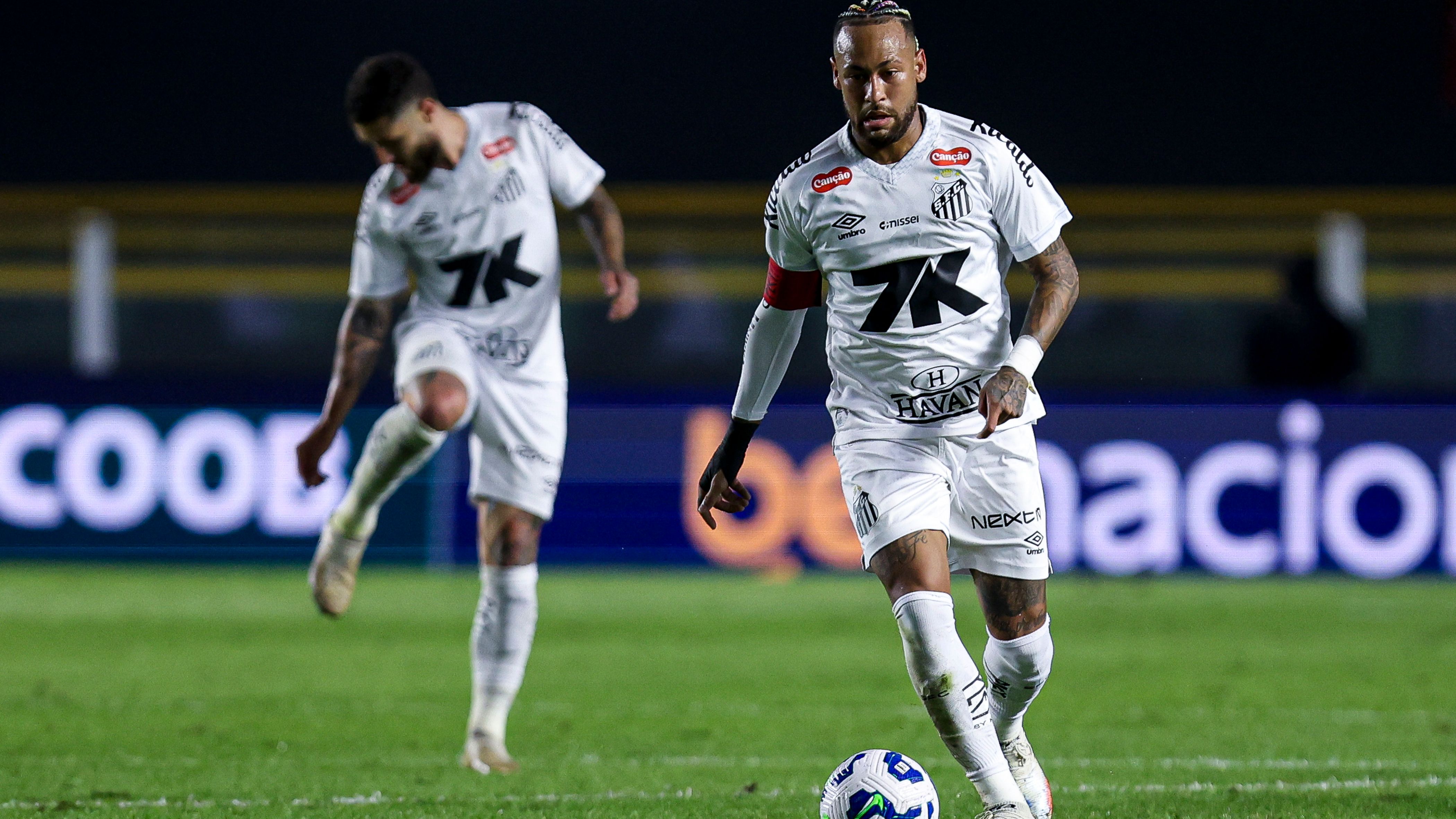 Santos v Flamengo - Brasileirao 2025