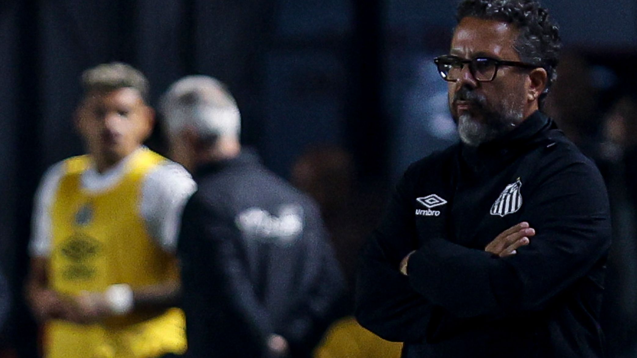 Santos v Flamengo - Brasileirao 2025