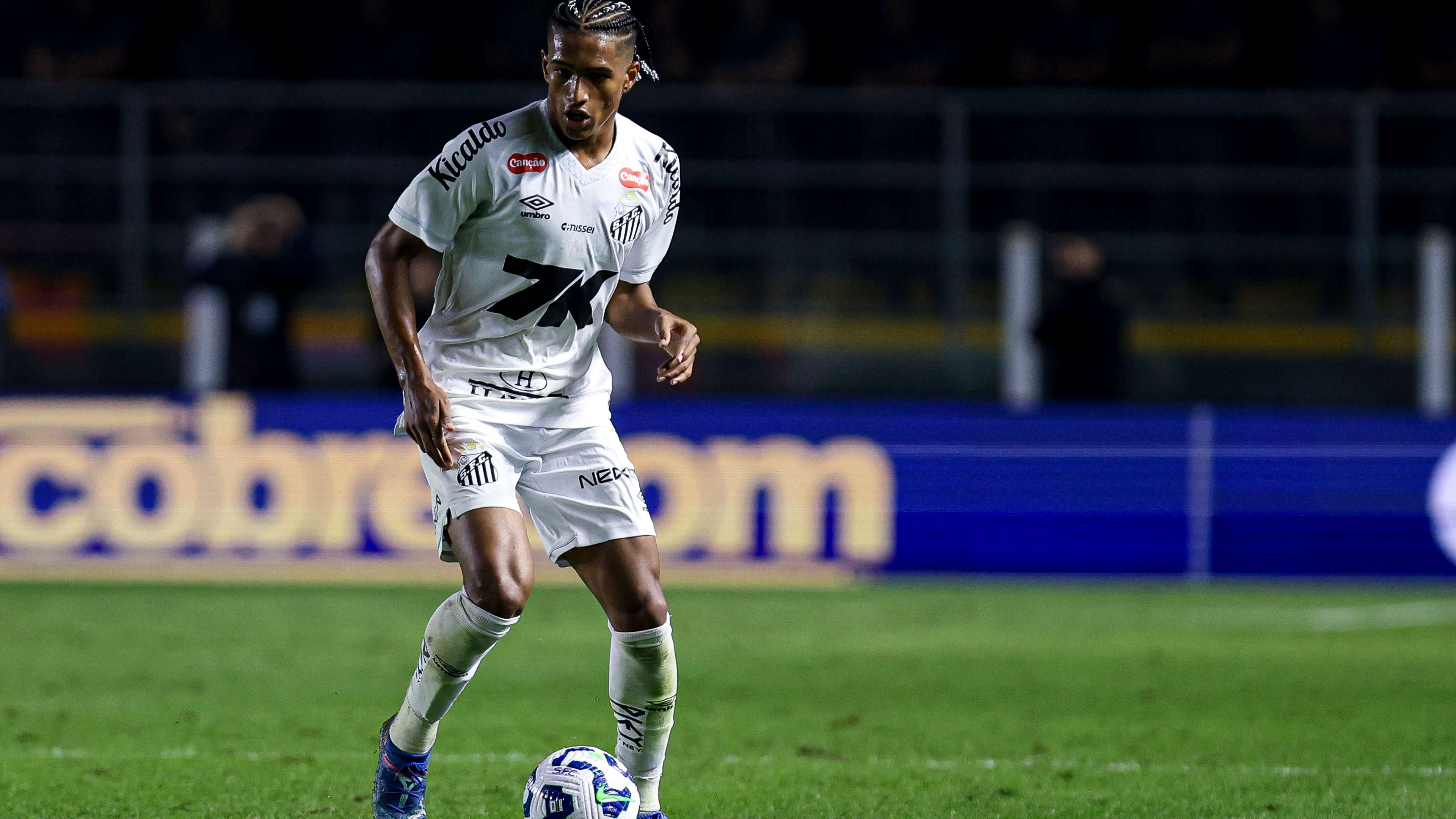 Santos v Flamengo - Brasileirao 2025