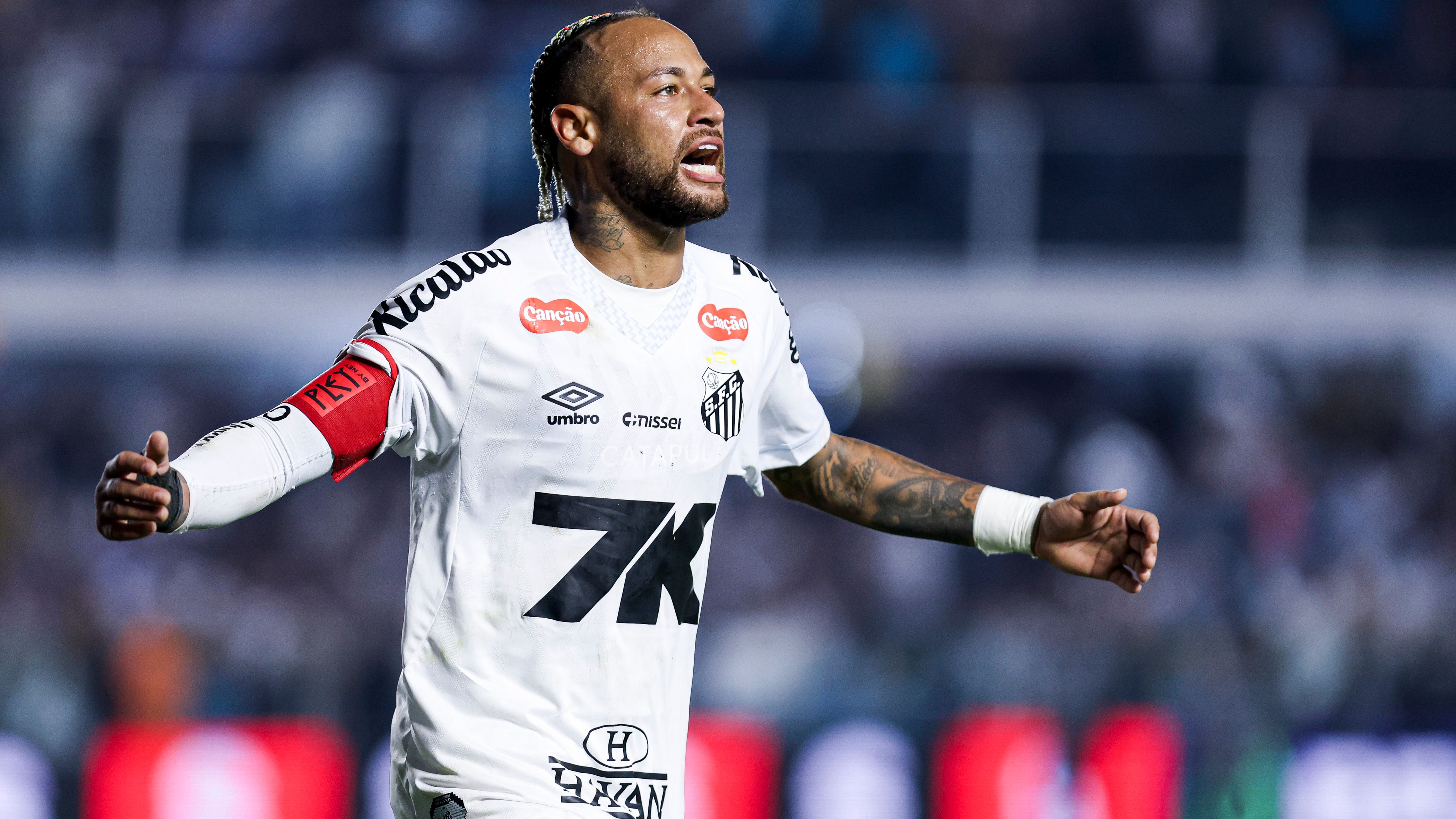 Santos v Flamengo - Brasileirao 2025