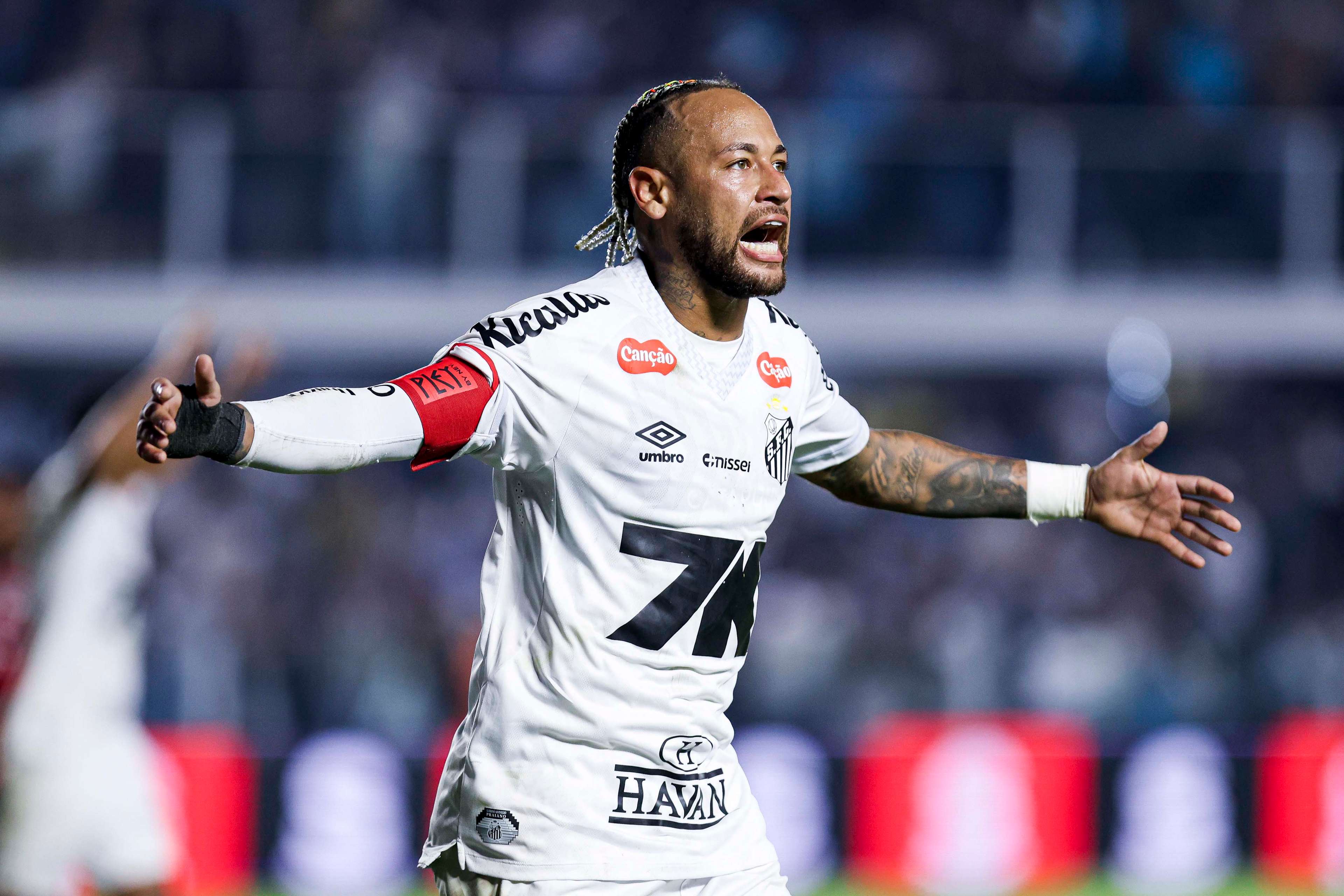 Santos v Flamengo - Brasileirao 2025