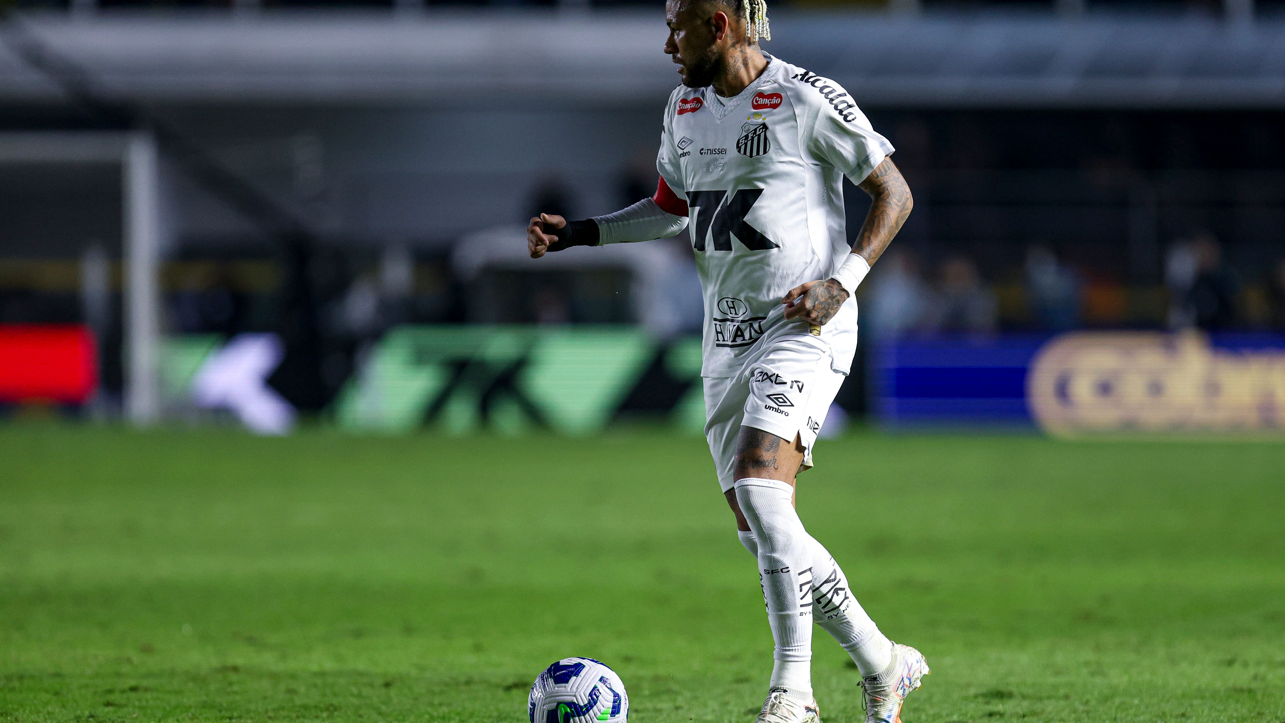 Santos v Flamengo - Brasileirao 2025