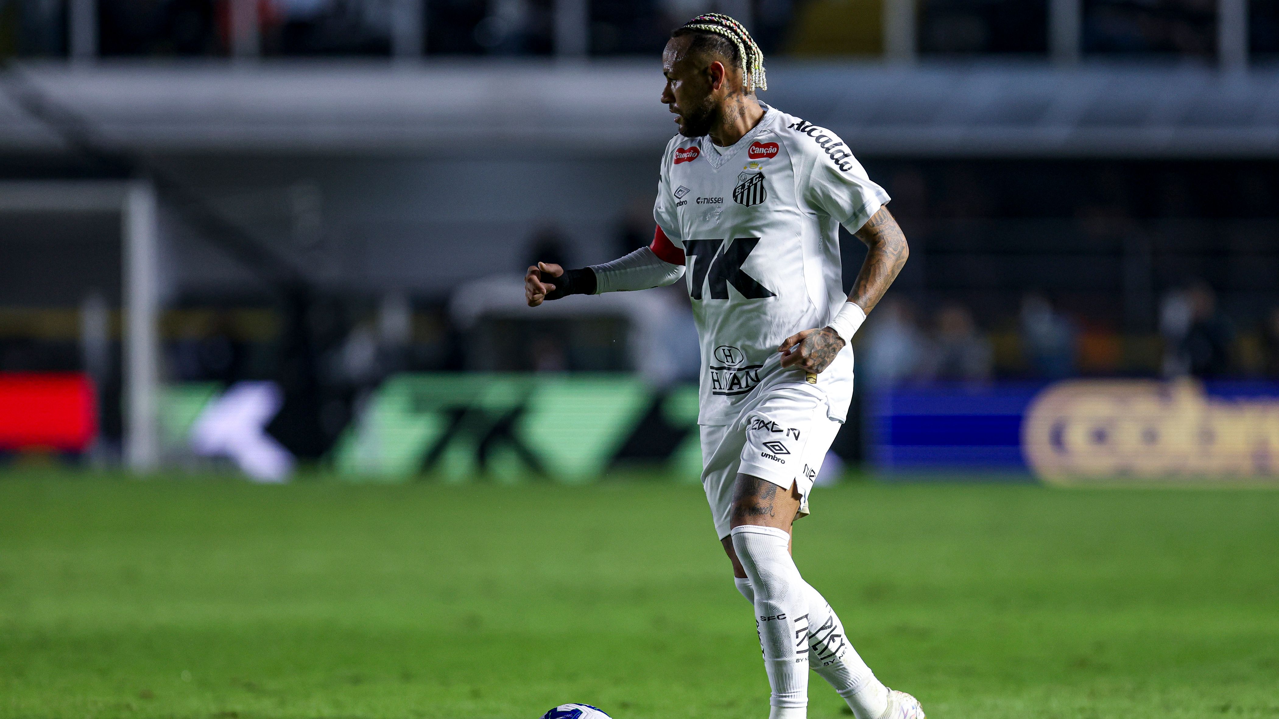 Santos v Flamengo - Brasileirao 2025