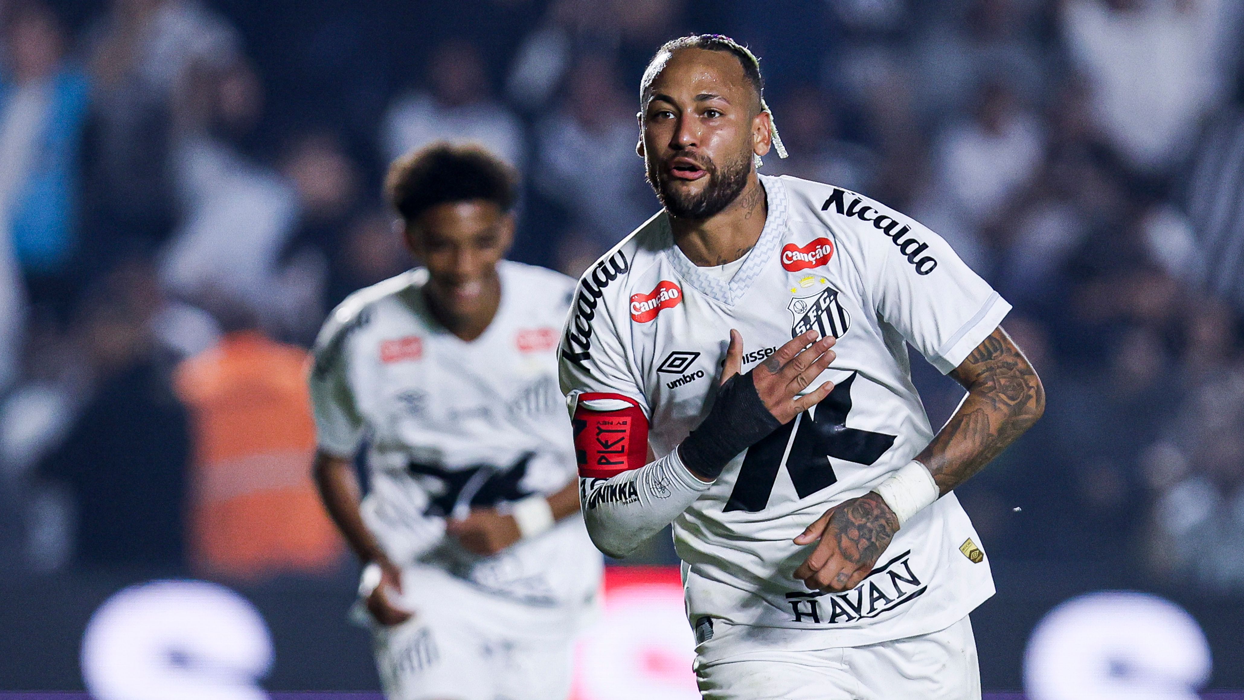 Santos v Flamengo - Brasileirao 2025