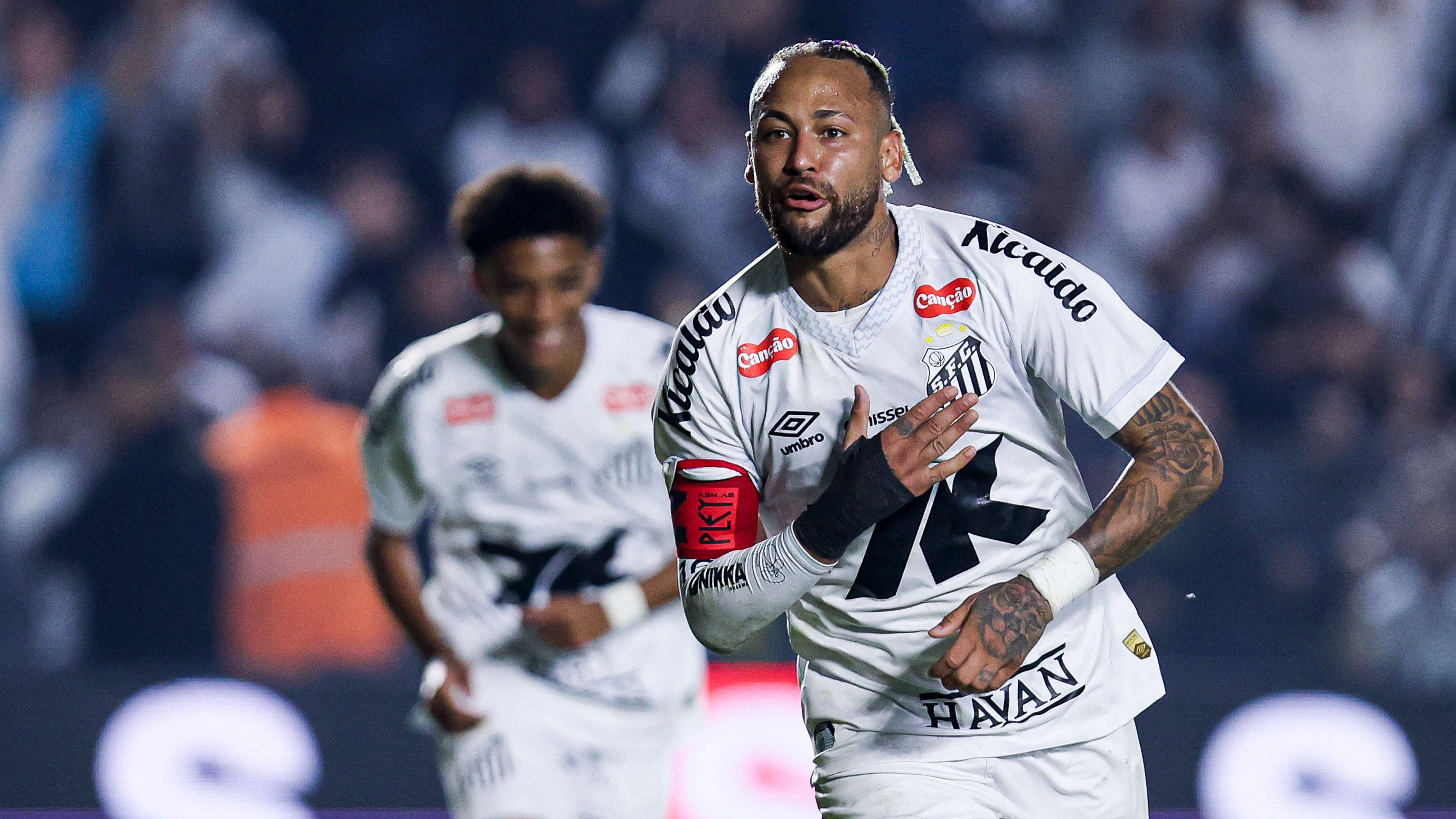 Santos v Flamengo - Brasileirao 2025