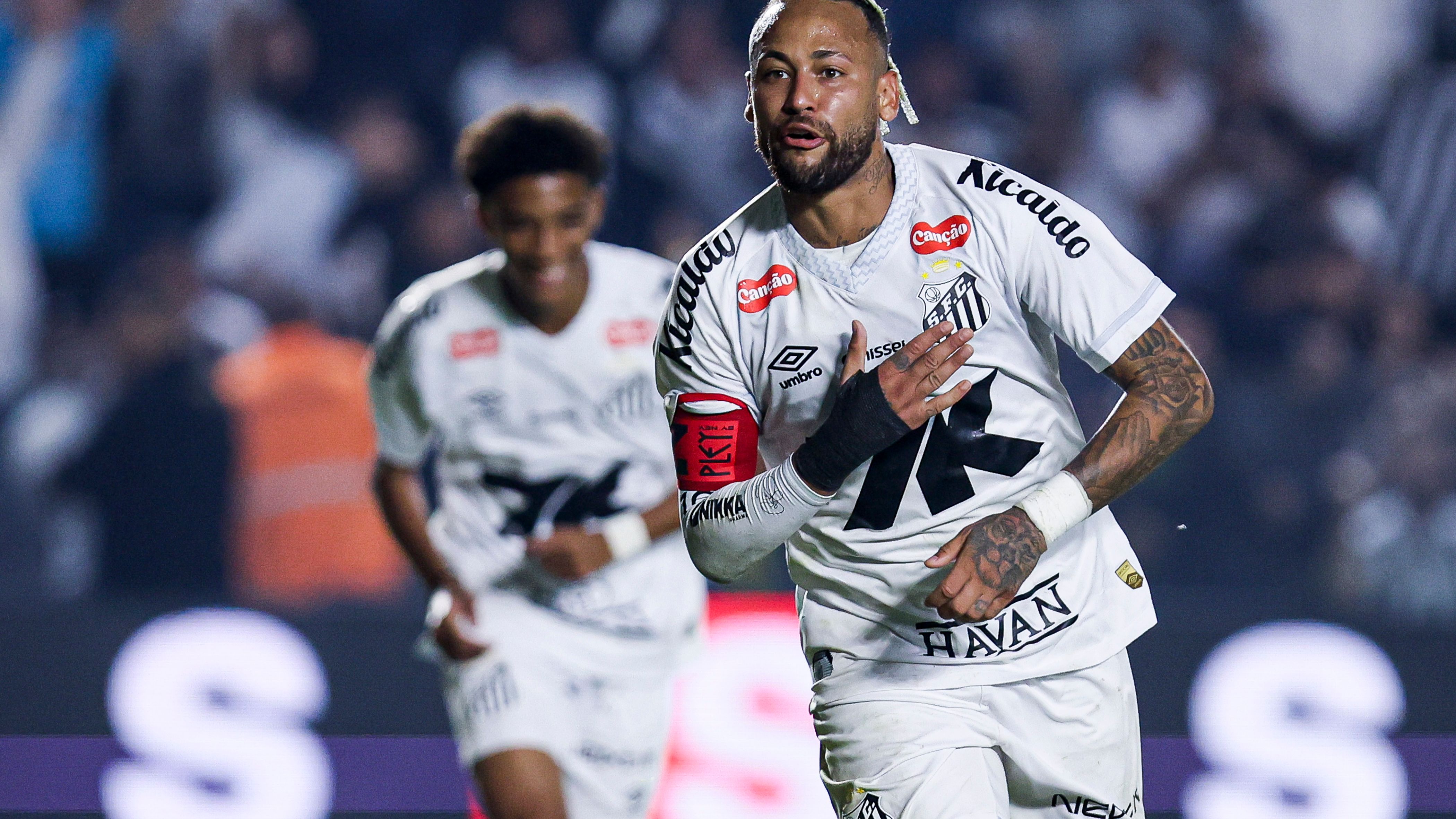 Santos v Flamengo - Brasileirao 2025