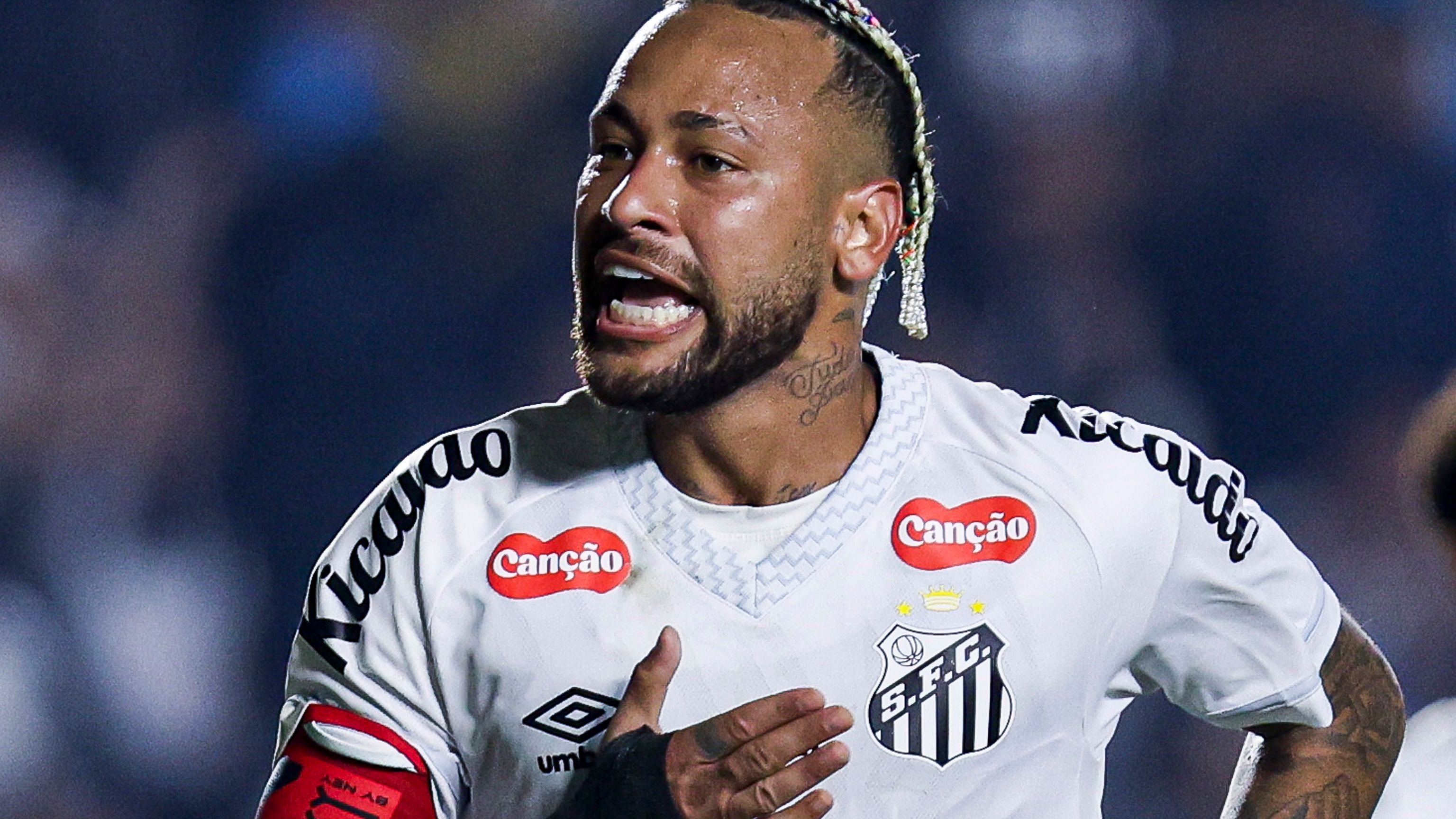 Santos v Flamengo - Brasileirao 2025