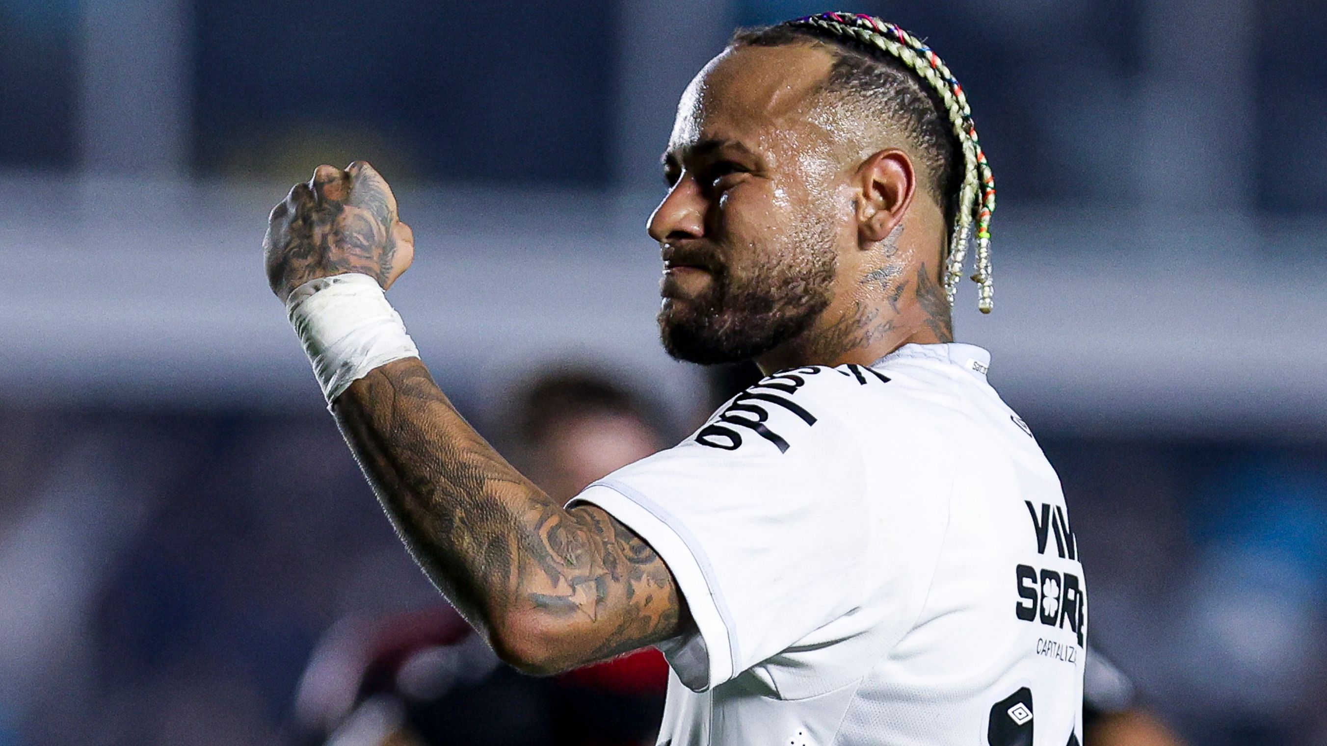 Santos v Flamengo - Brasileirao 2025