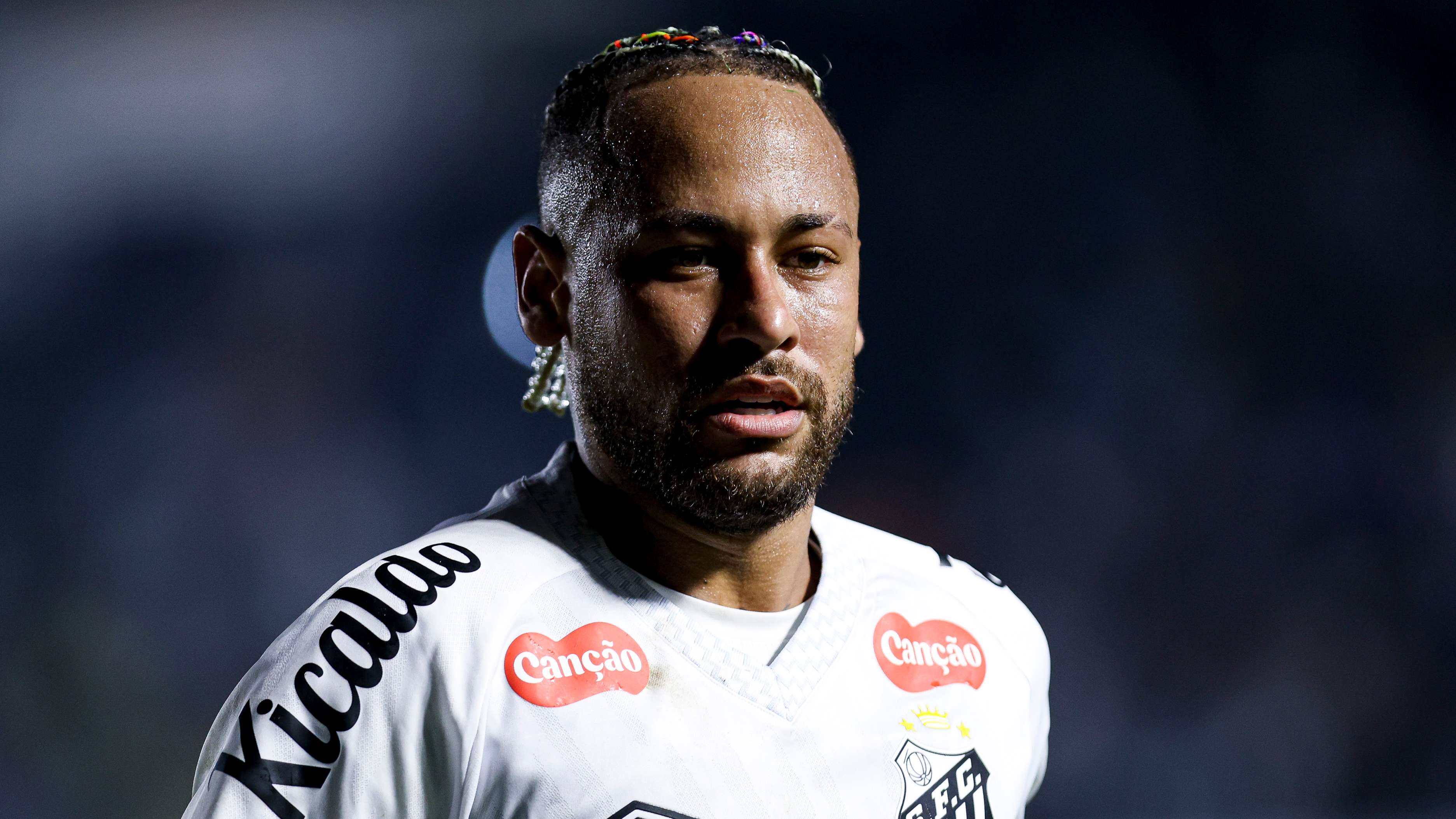 Santos v Flamengo - Brasileirao 2025