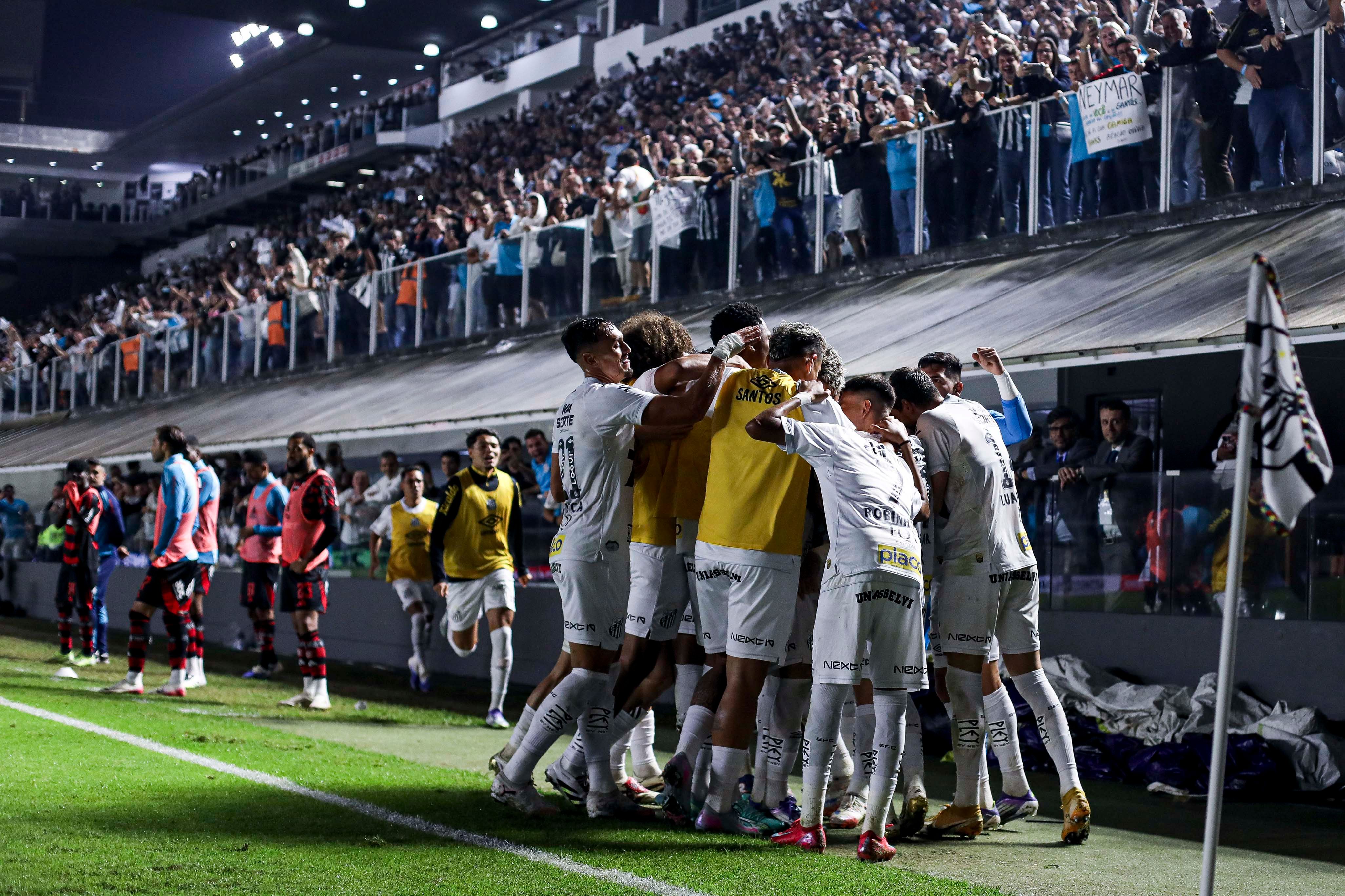 Santos v Flamengo - Brasileirao 2025