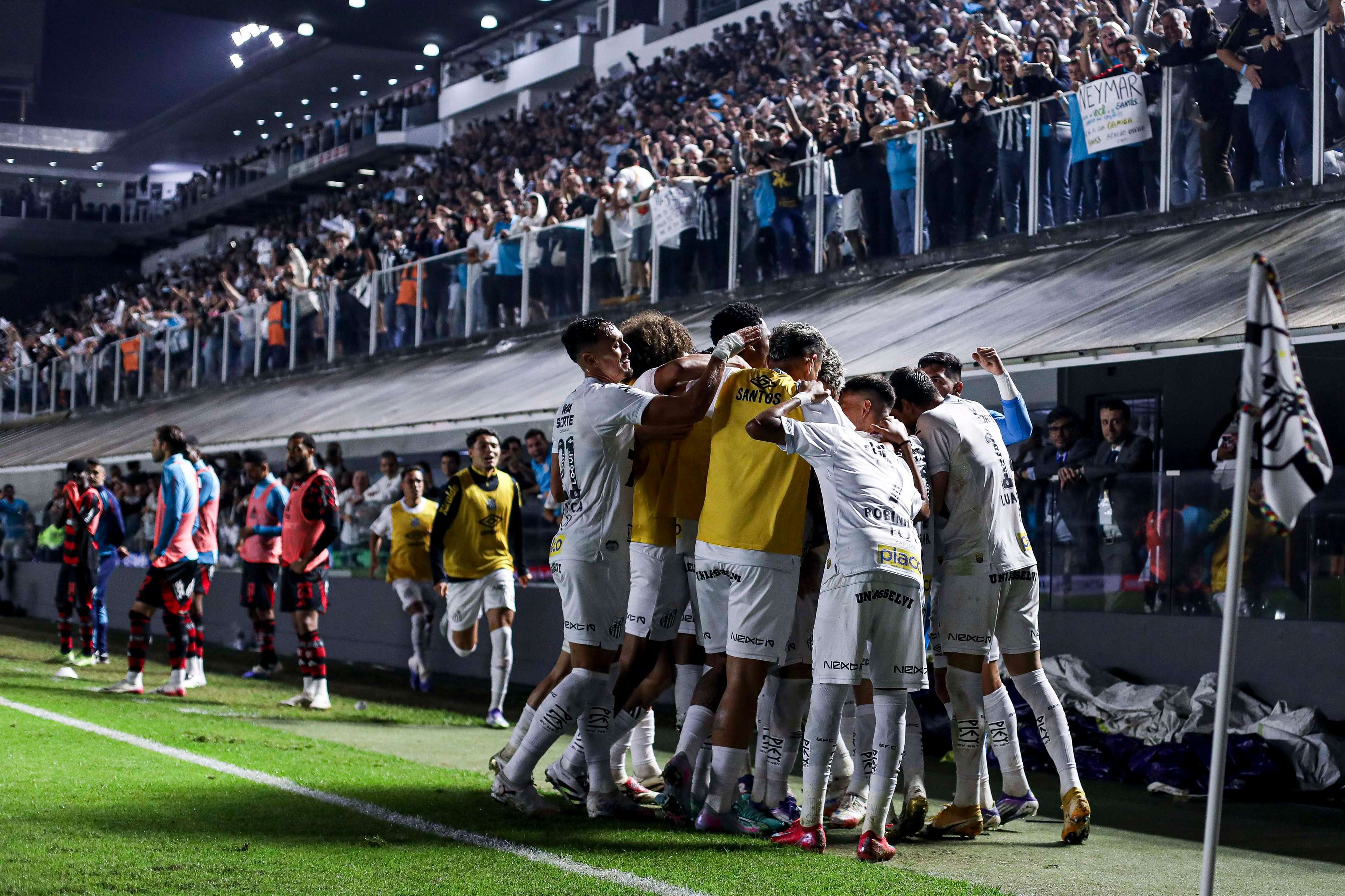 Santos v Flamengo - Brasileirao 2025