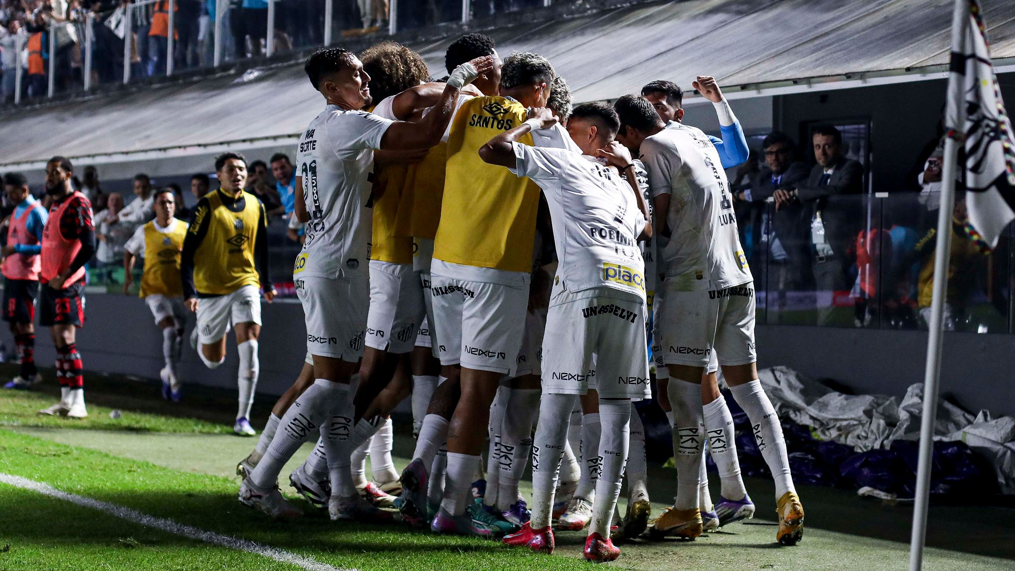 Santos v Flamengo - Brasileirao 2025