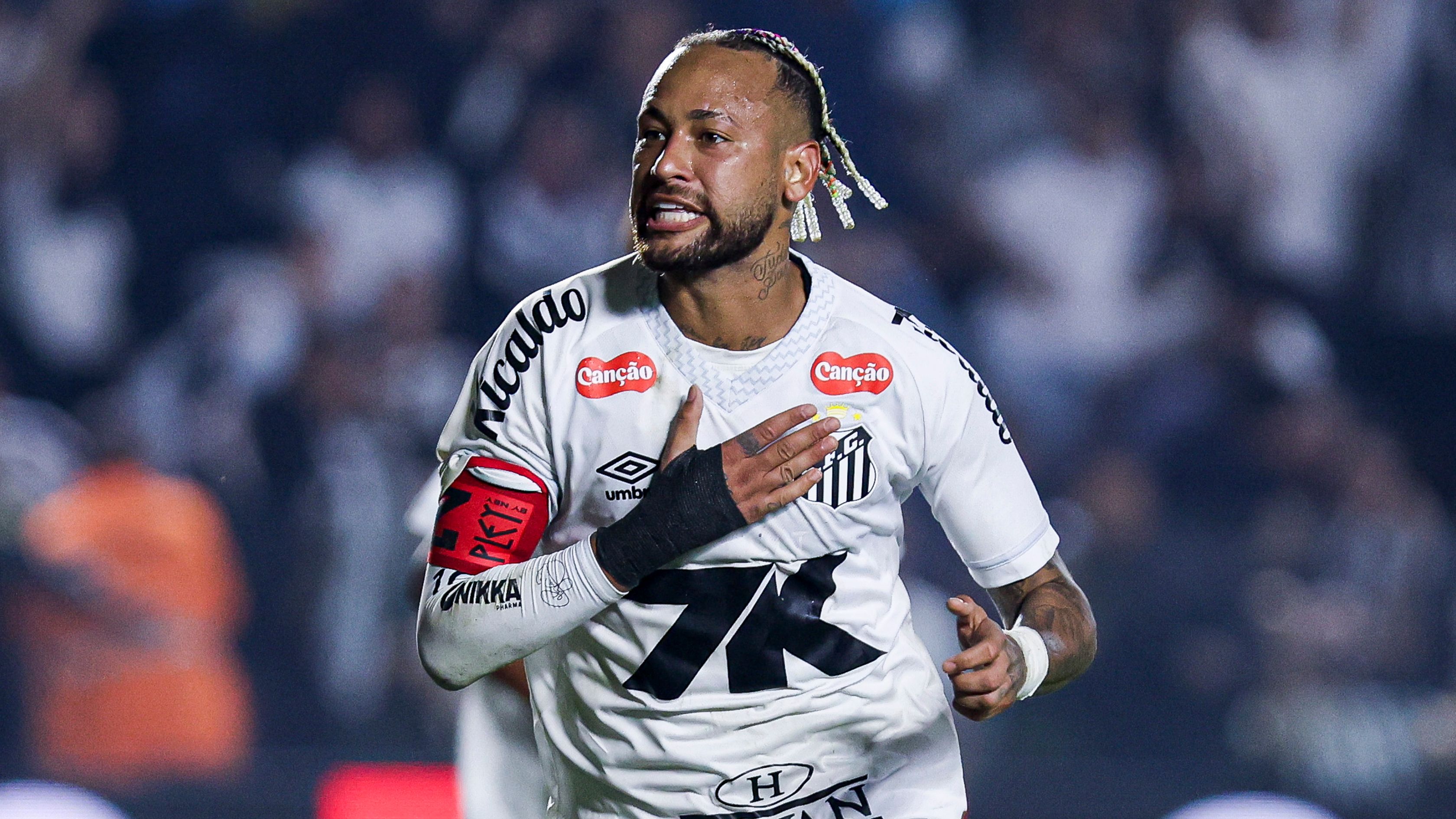 Santos v Flamengo - Brasileirao 2025