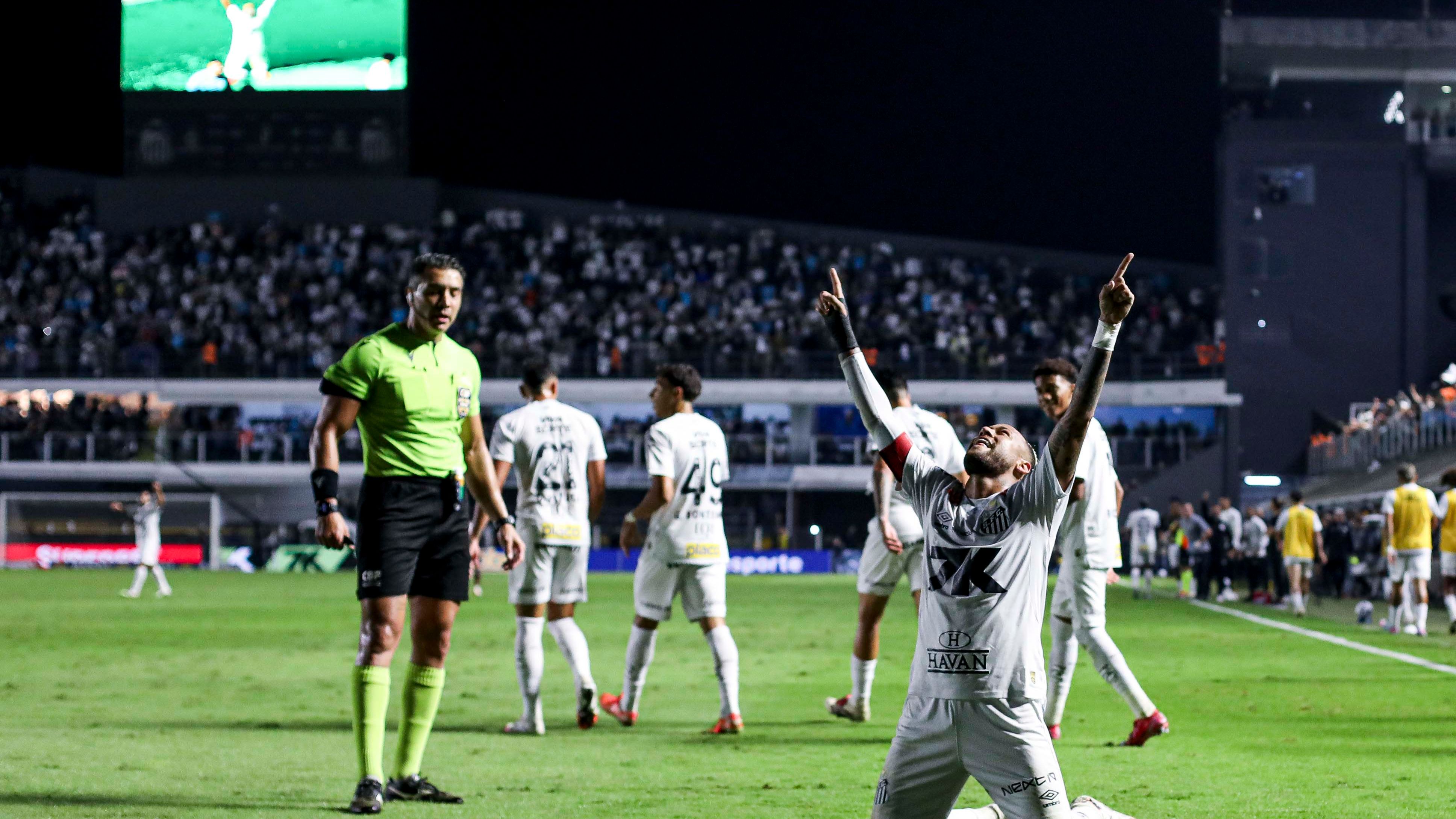Santos v Flamengo - Brasileirao 2025