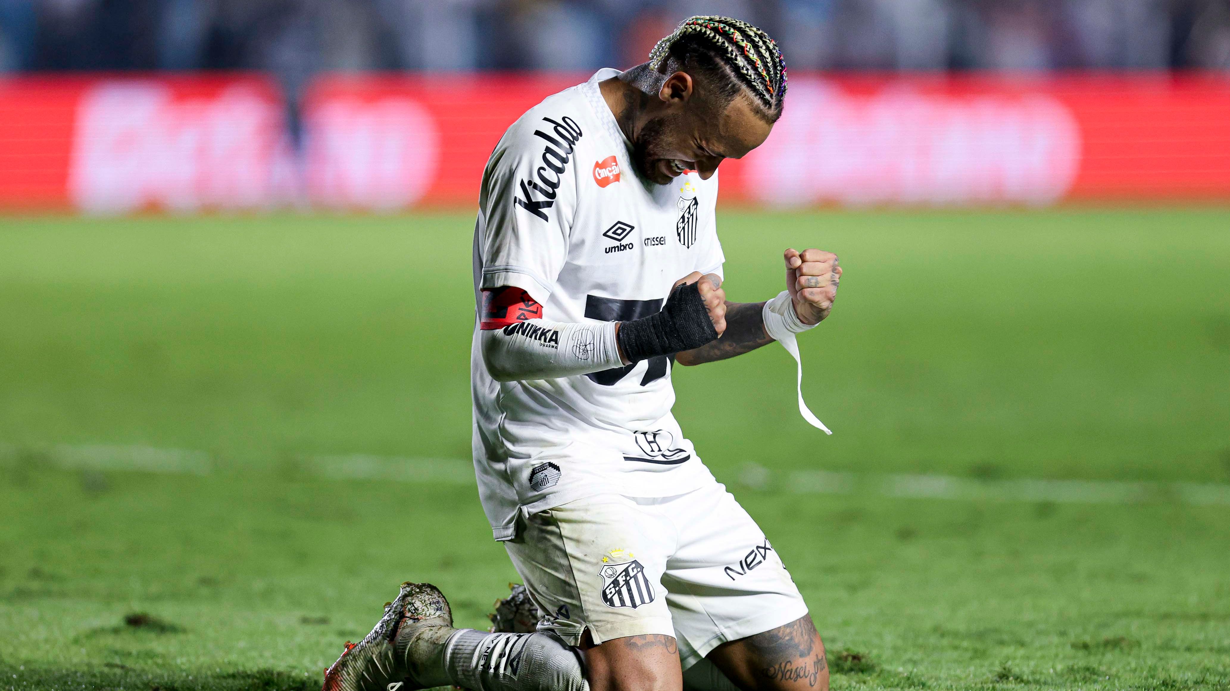 Santos v Flamengo - Brasileirao 2025