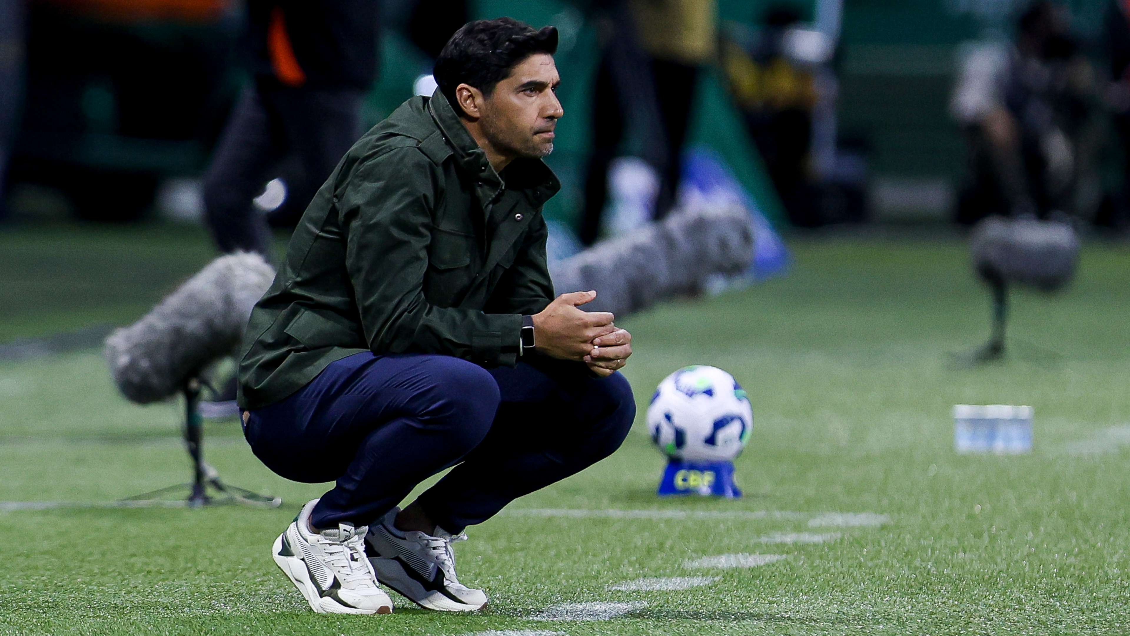 Palmeiras v Atletico Mineiro - Brasileirao 2025