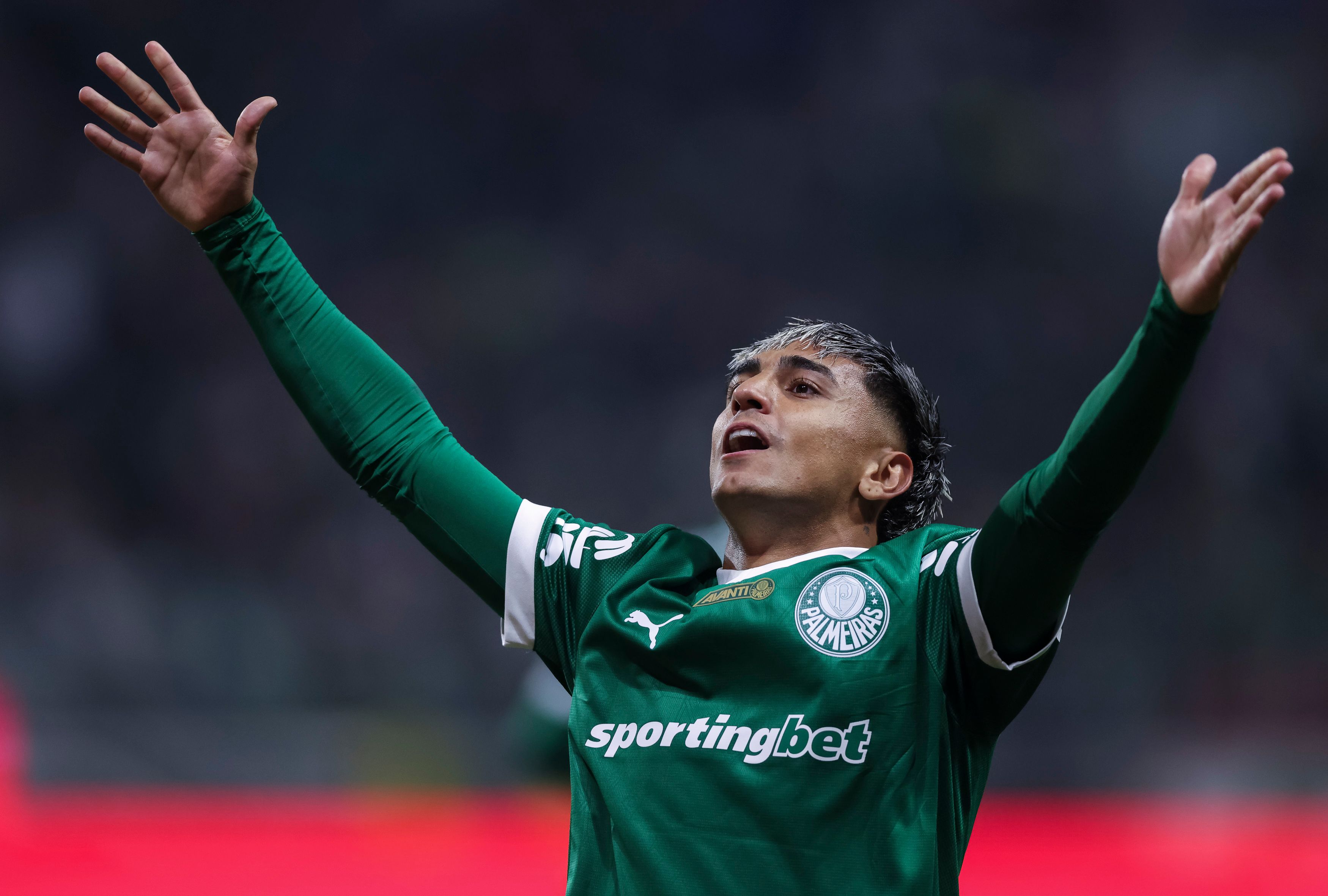 Palmeiras v Gremio - Brasileirao 2025