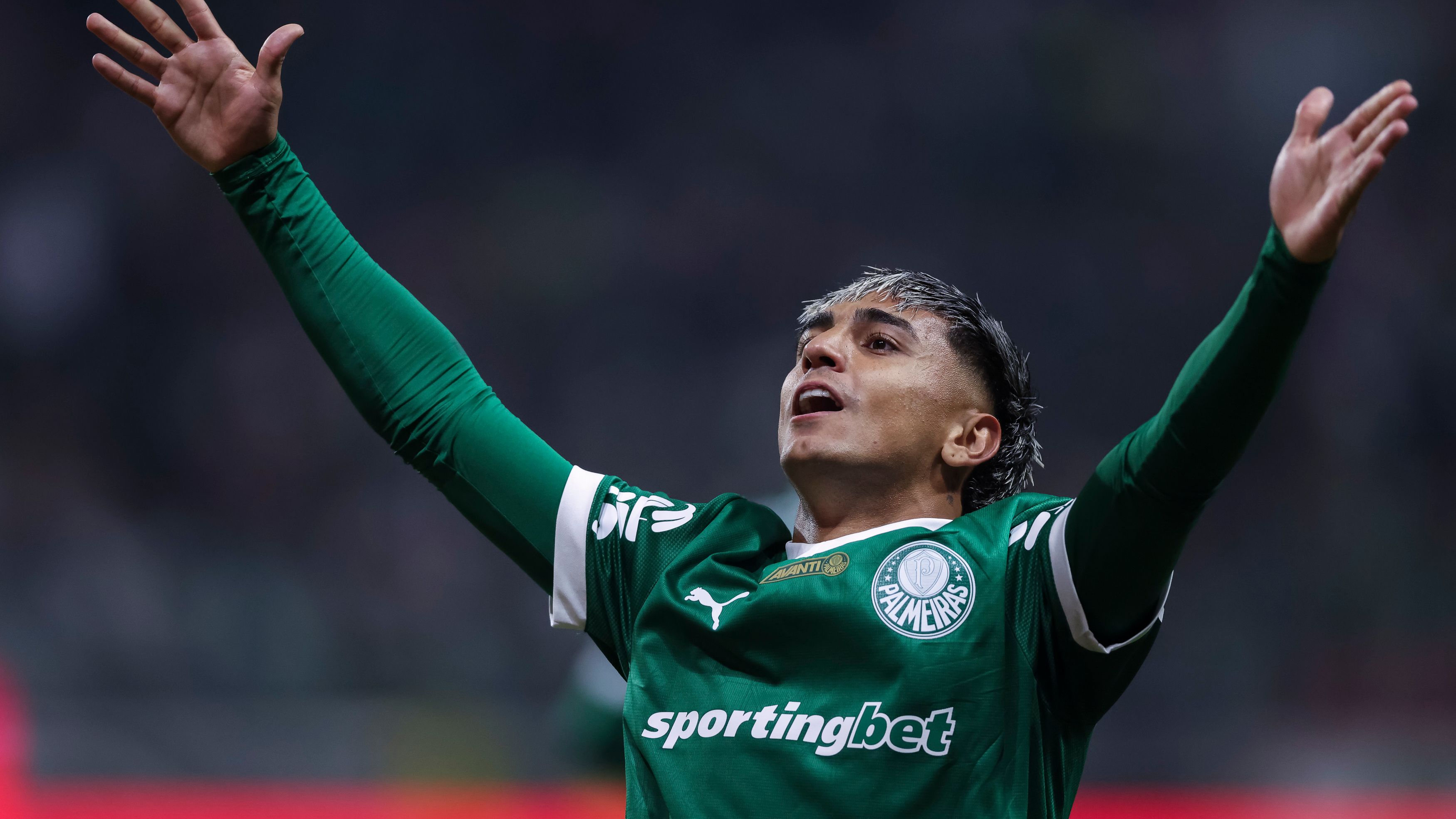 Palmeiras v Gremio - Brasileirao 2025