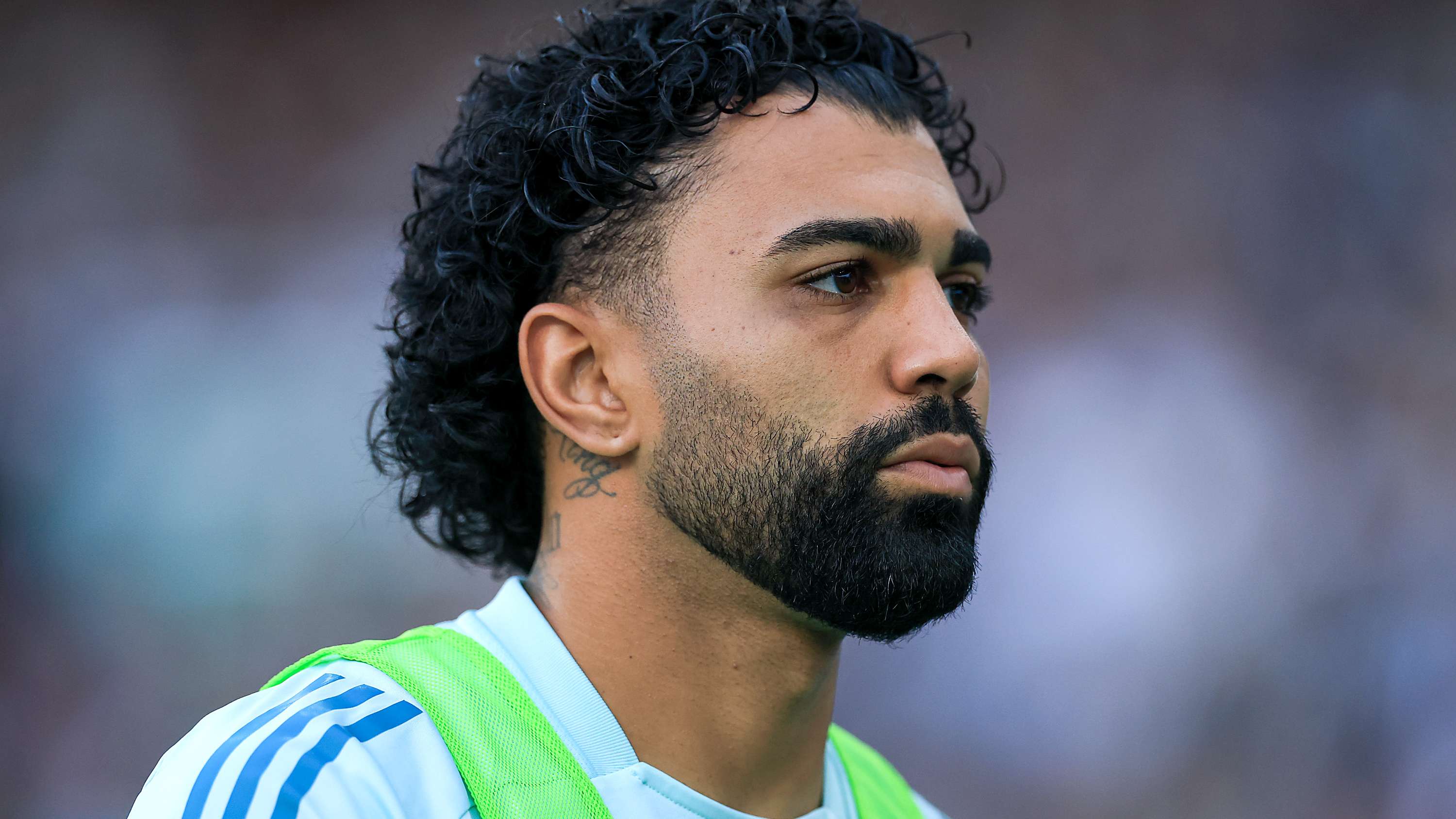 Botafogo v Cruzeiro - Brasileirao 2025