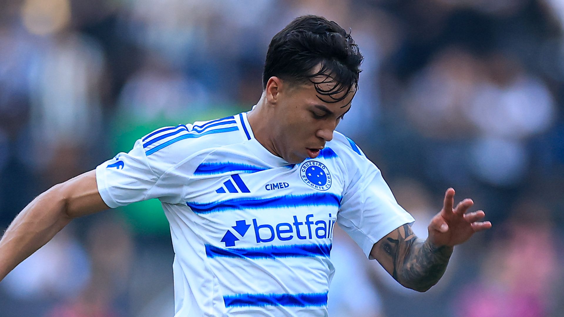 Botafogo v Cruzeiro - Brasileirao 2025