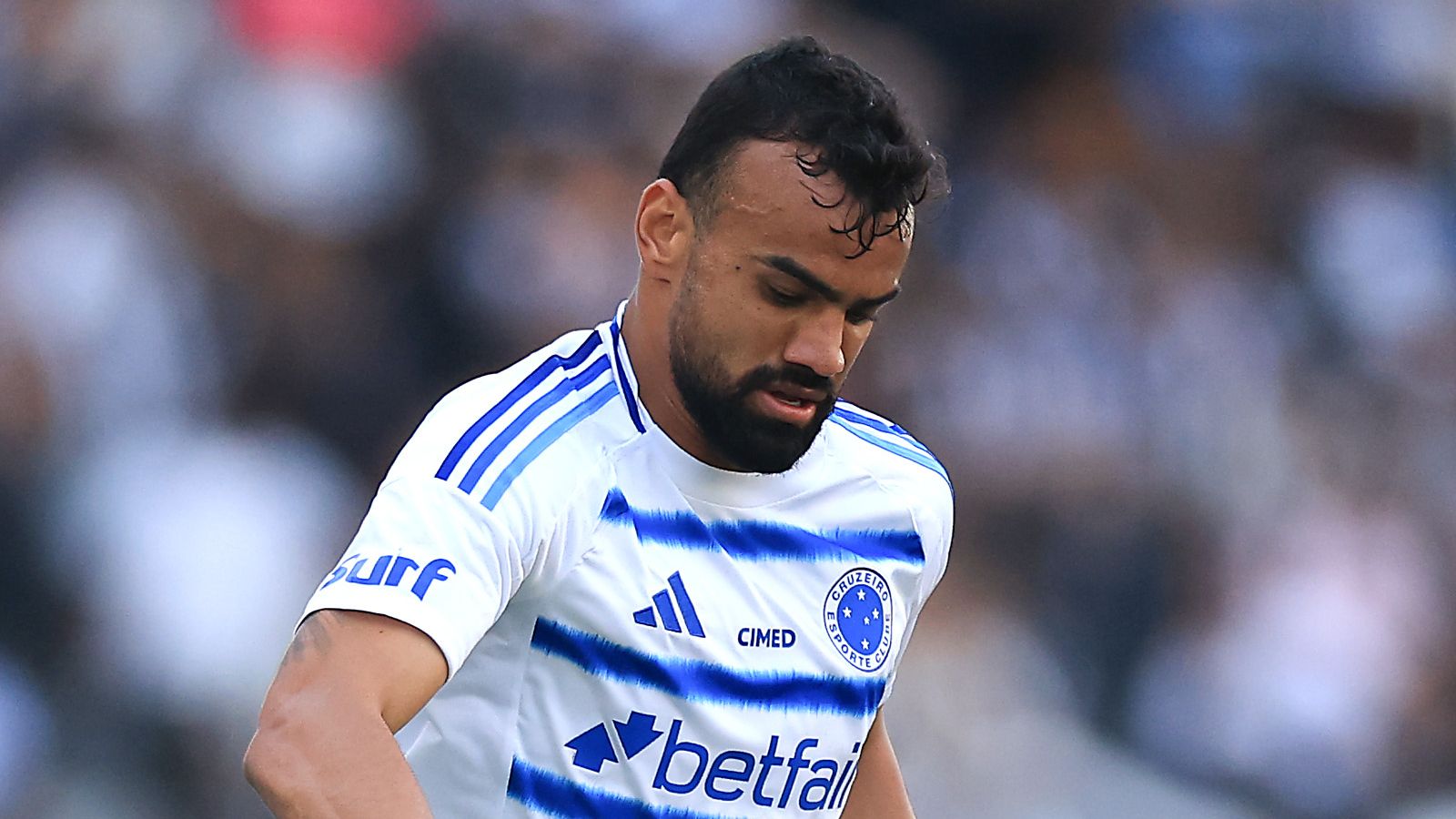 Botafogo v Cruzeiro - Brasileirao 2025