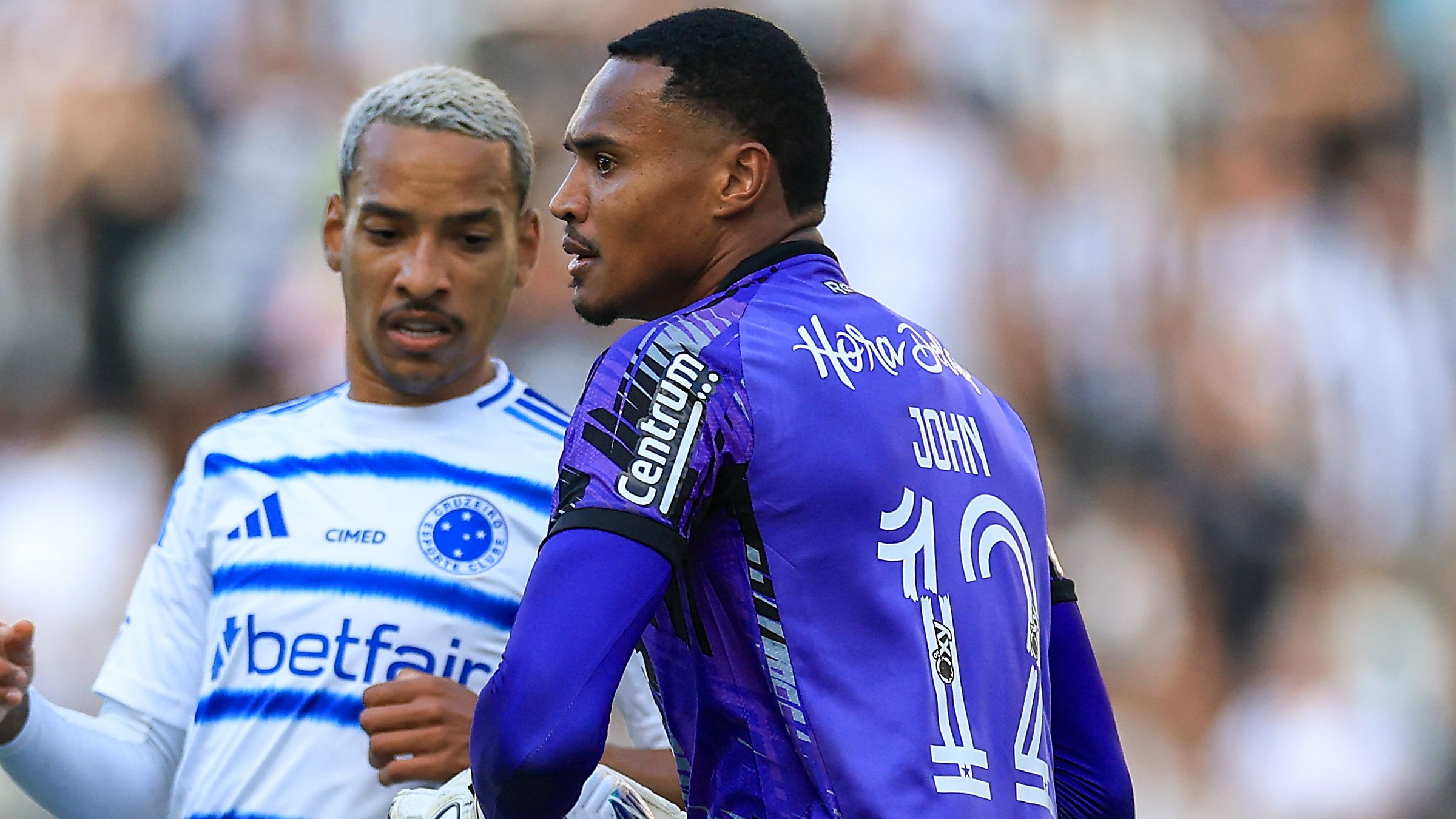 Botafogo v Cruzeiro - Brasileirao 2025