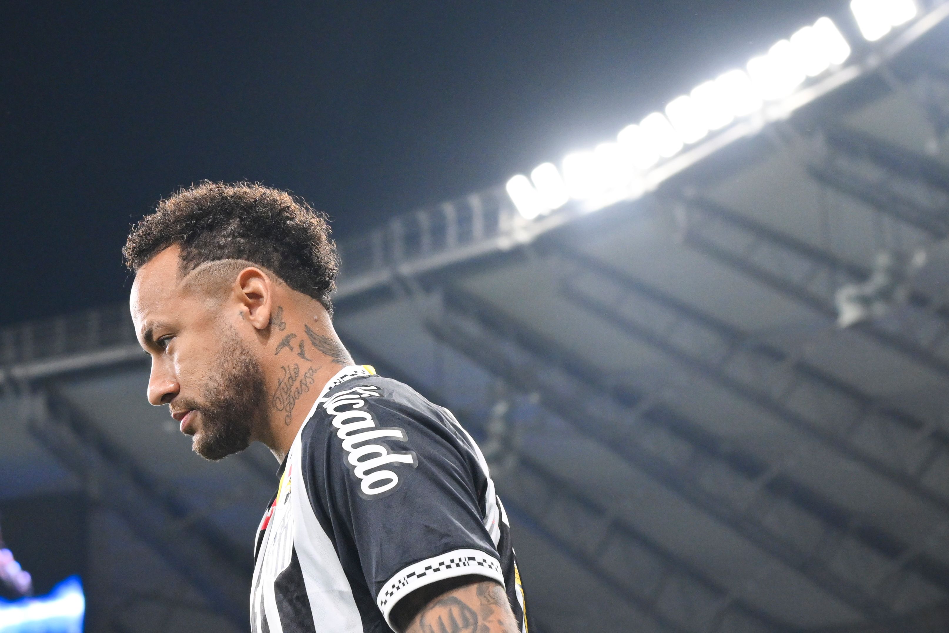 Cruzeiro v Santos - Brasileirao 2025