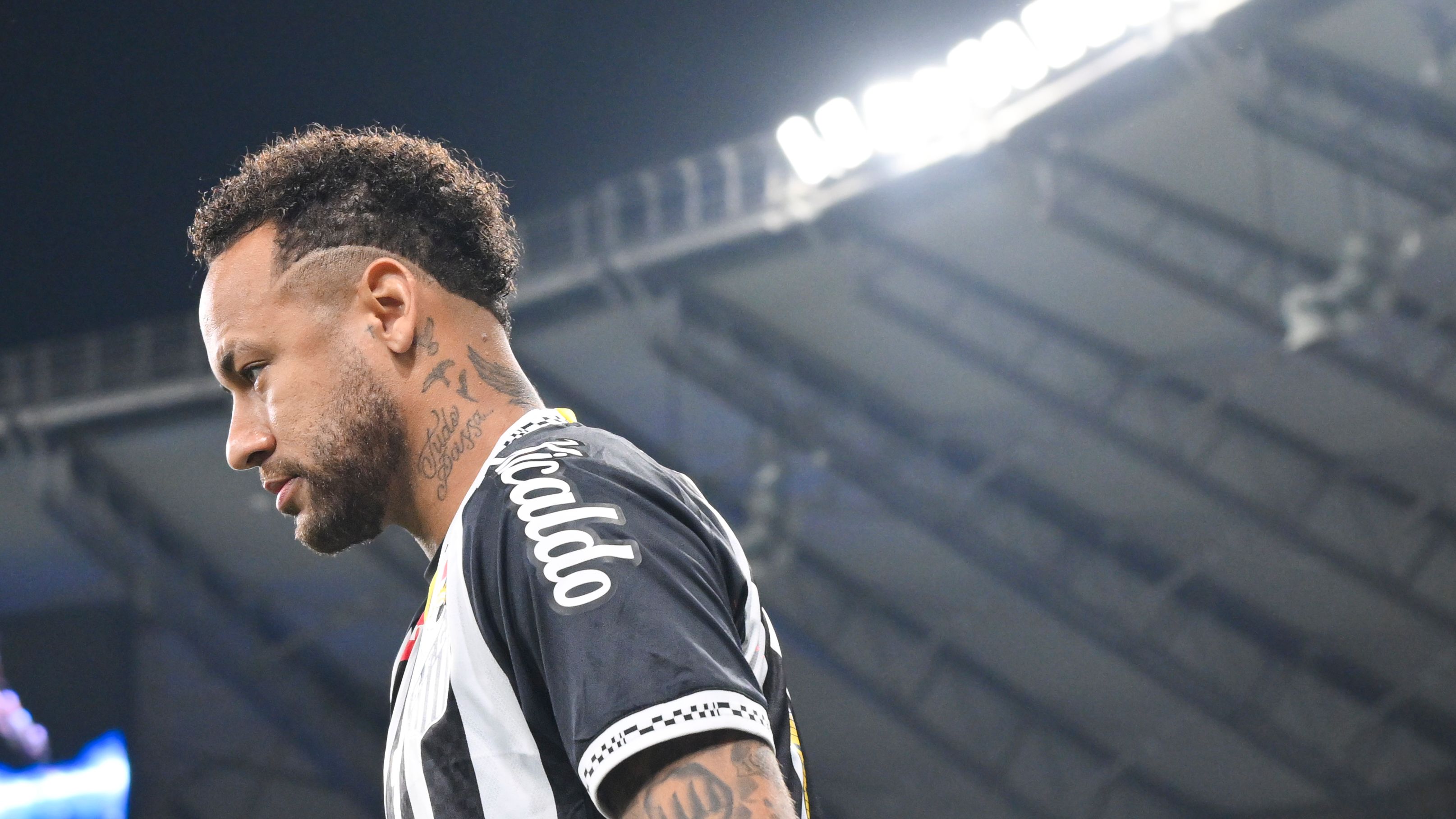 Cruzeiro v Santos - Brasileirao 2025