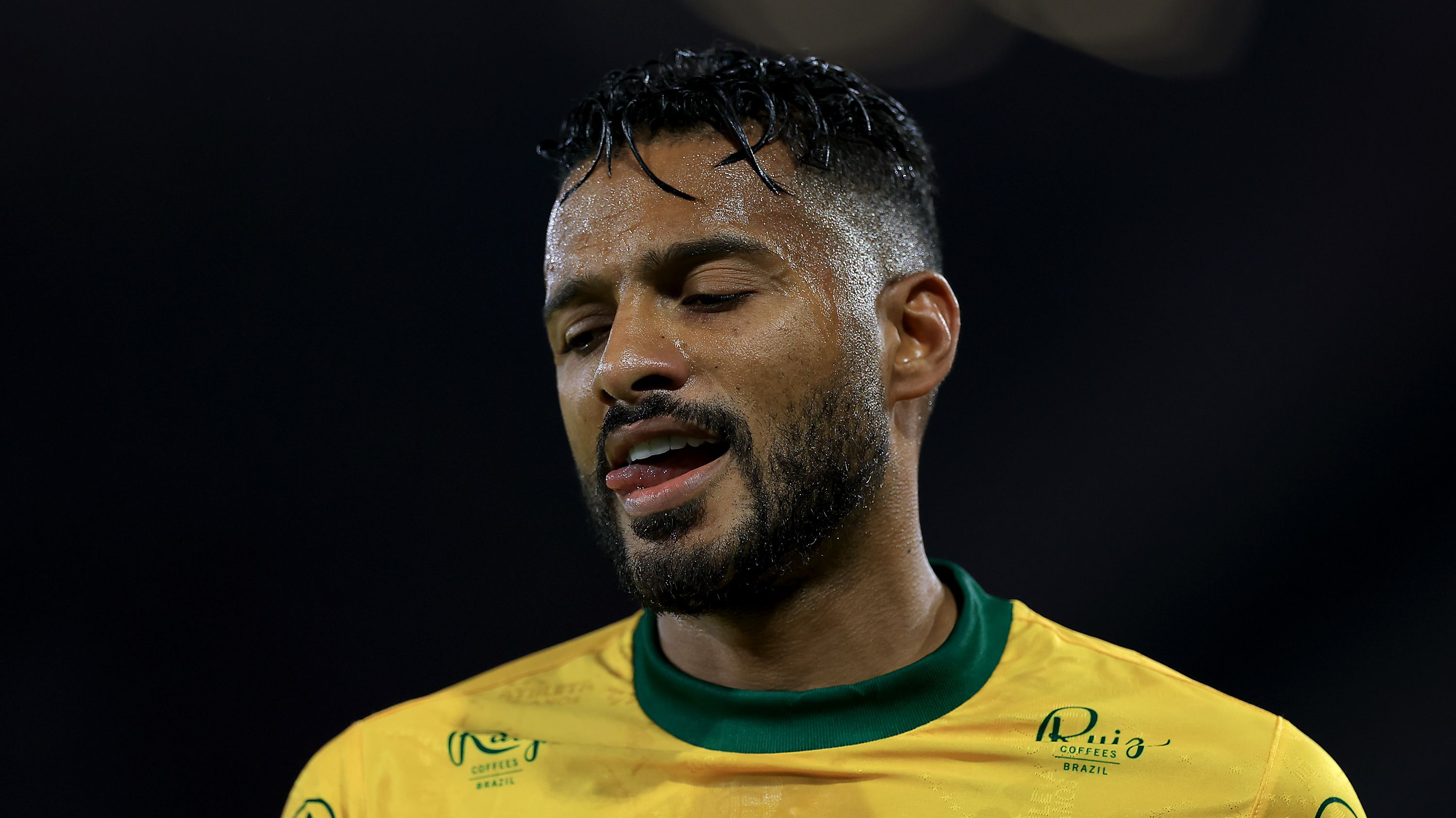 Flamengo v Mirassol - Brasileirao 2025