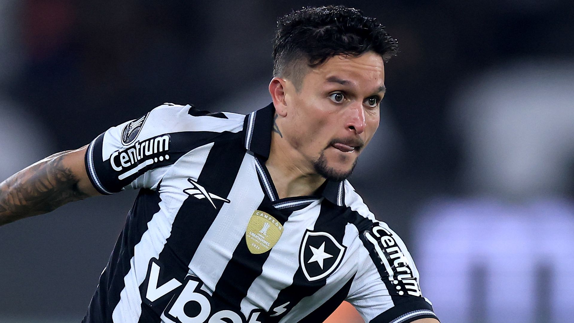 Botafogo v LDU Quito - Copa CONMEBOL Libertadores 2025