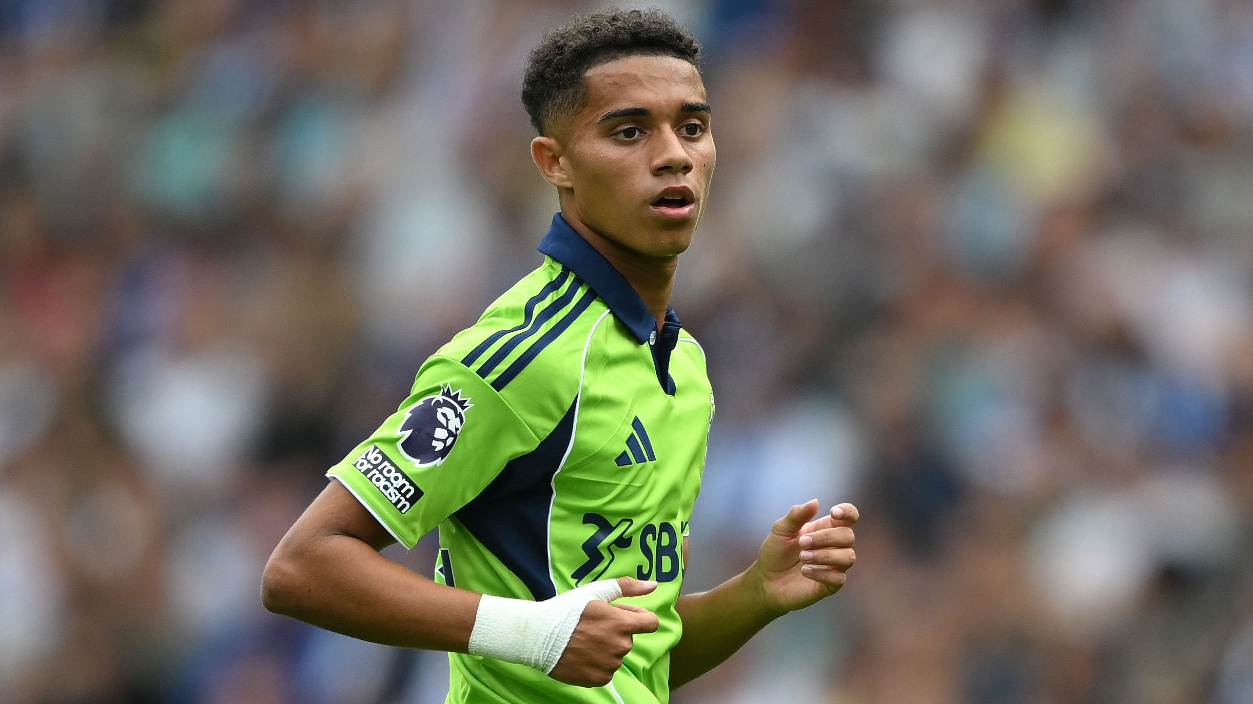 Brighton & Hove Albion v Fulham - Premier League