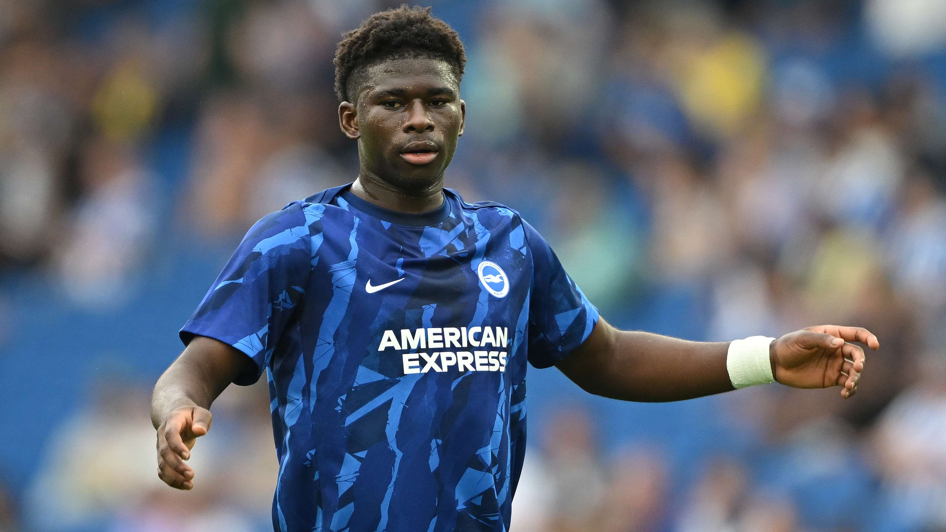Brighton & Hove Albion v Fulham - Premier League