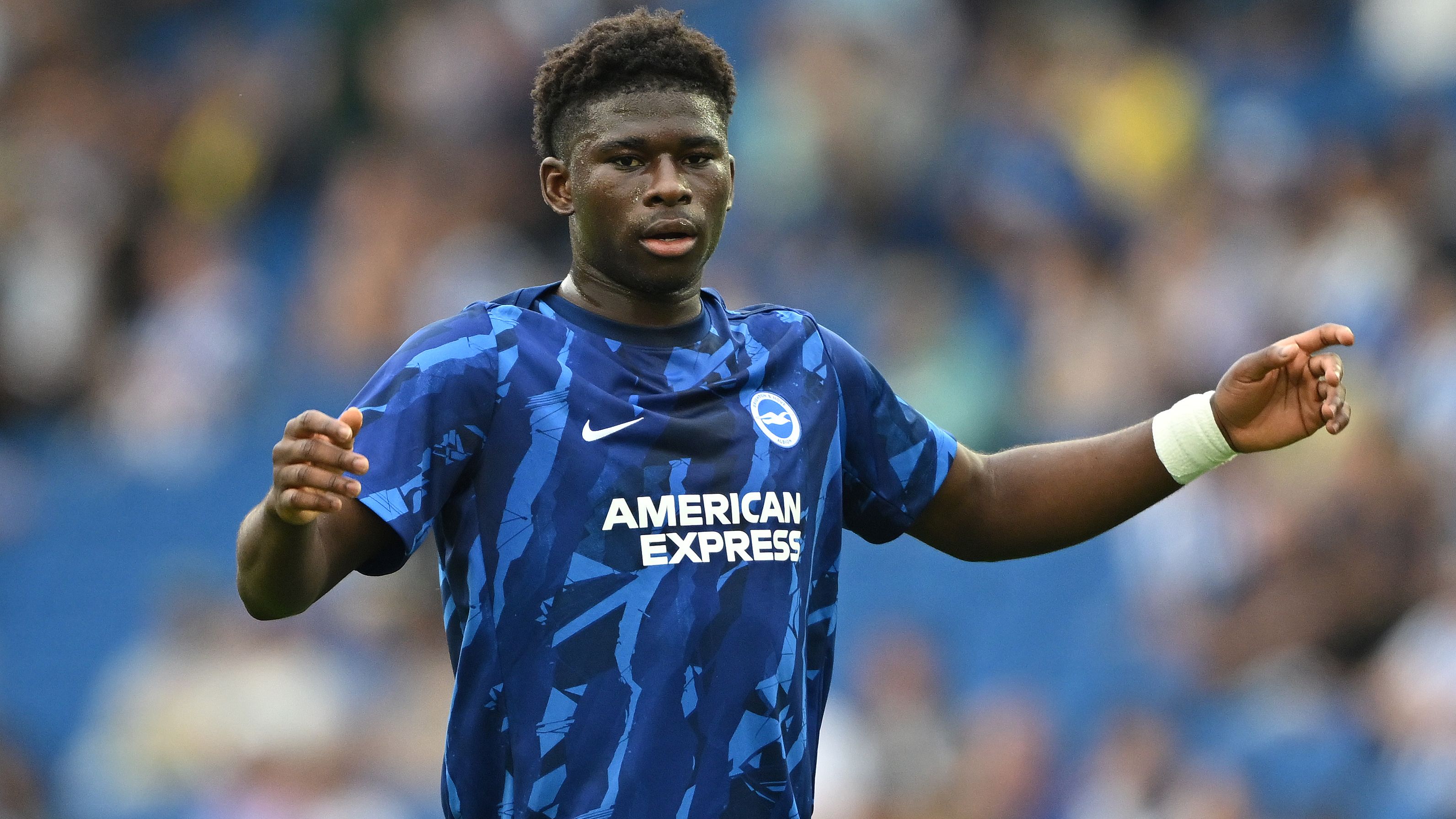 Brighton & Hove Albion v Fulham - Premier League